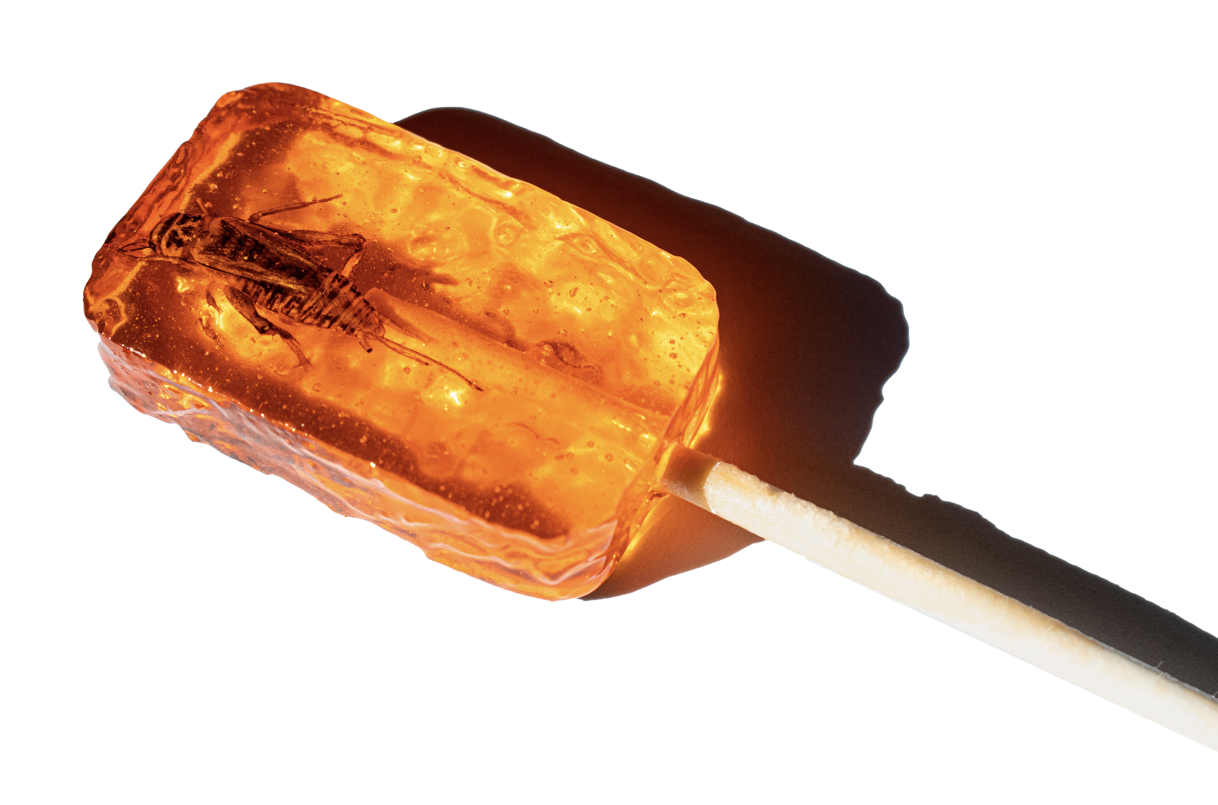 Screenshot 2024-03-23 at 1.09.55 PM.png