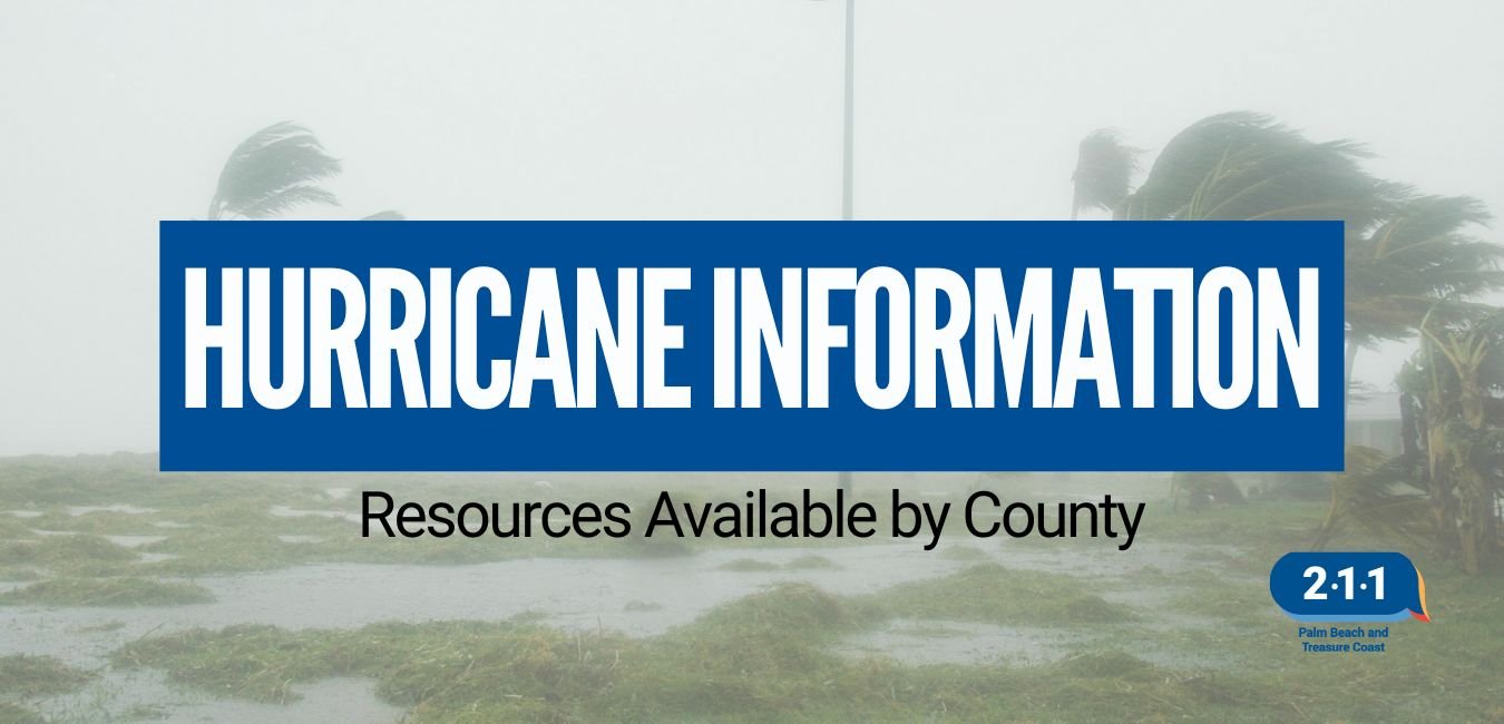 Website Banner (9).jpg