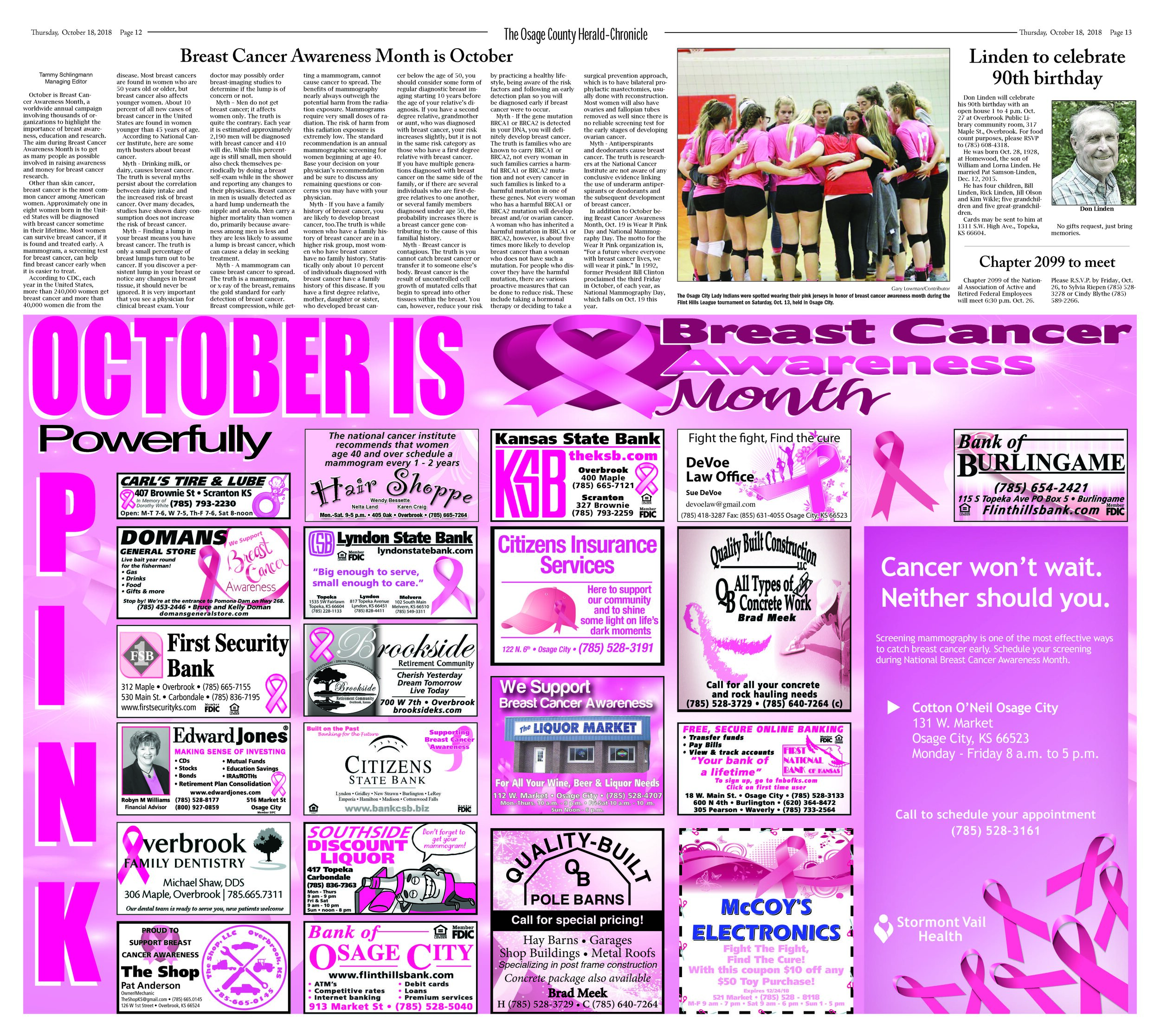 12-13 BCAW Doubletruck - COLOR.jpg