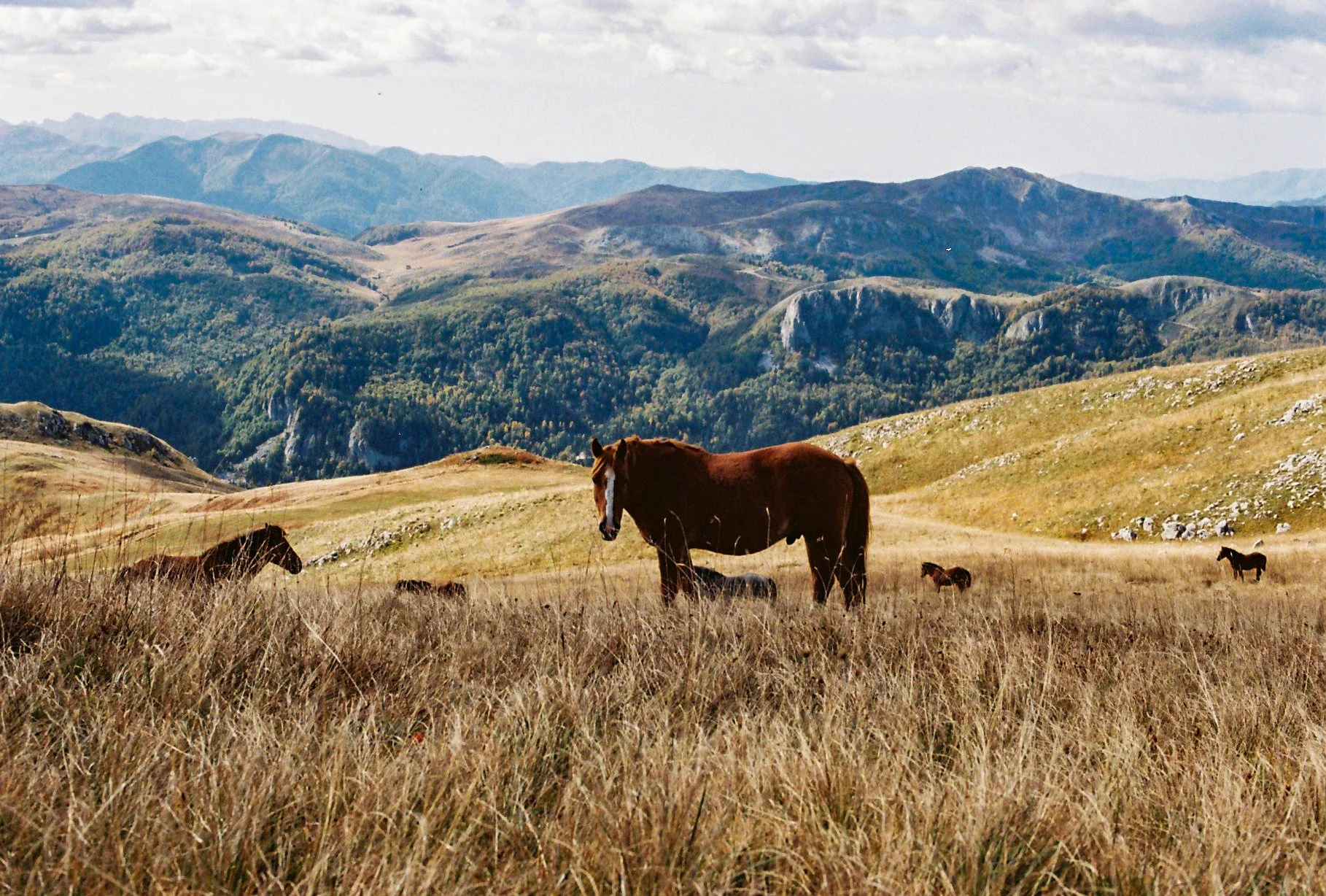150543_16_102023_Durmitor_Film_Tess Janssen.jpg