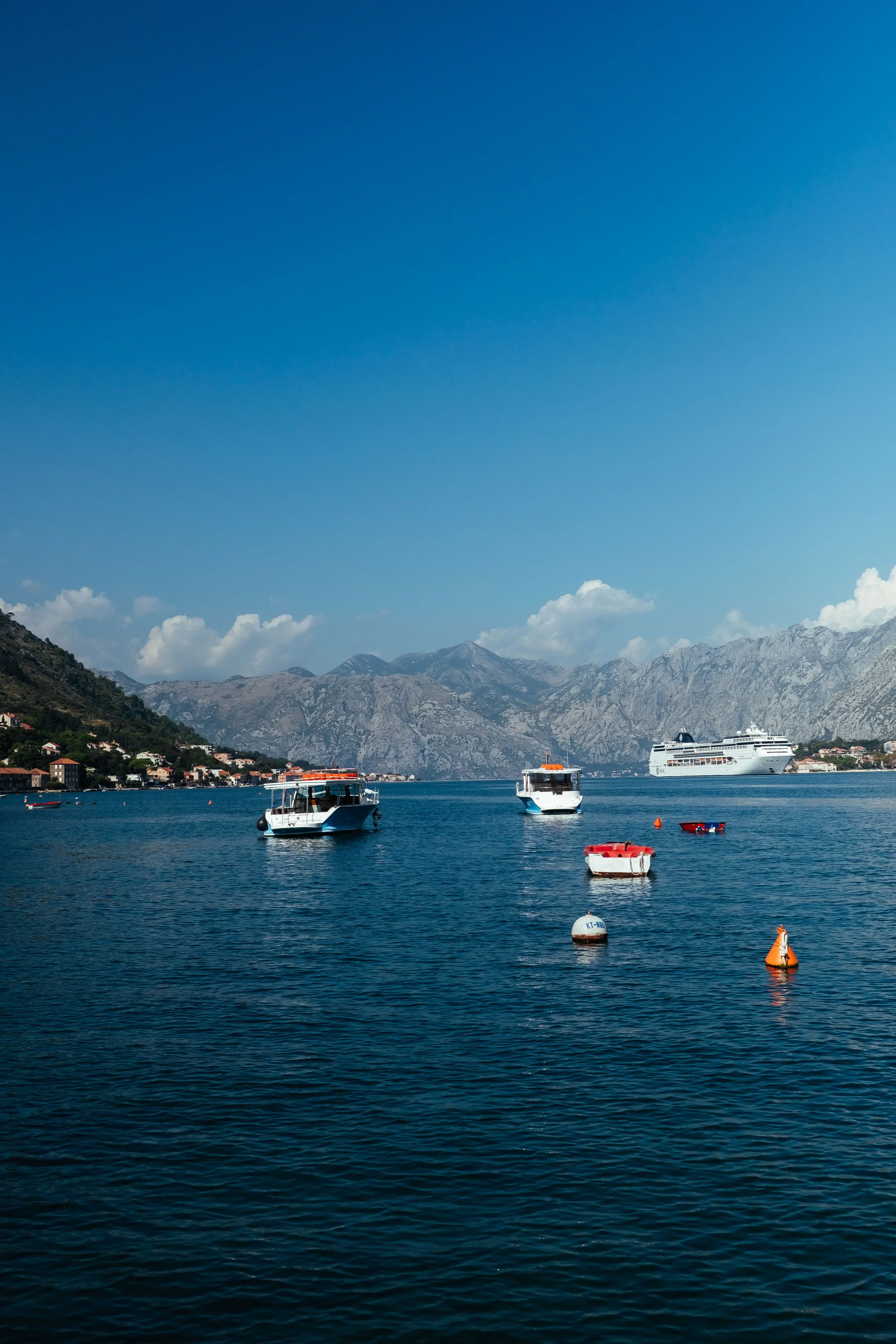 141111_4511_10052023_Kotor_Big Tripper Trip_Tess Janssen.jpg