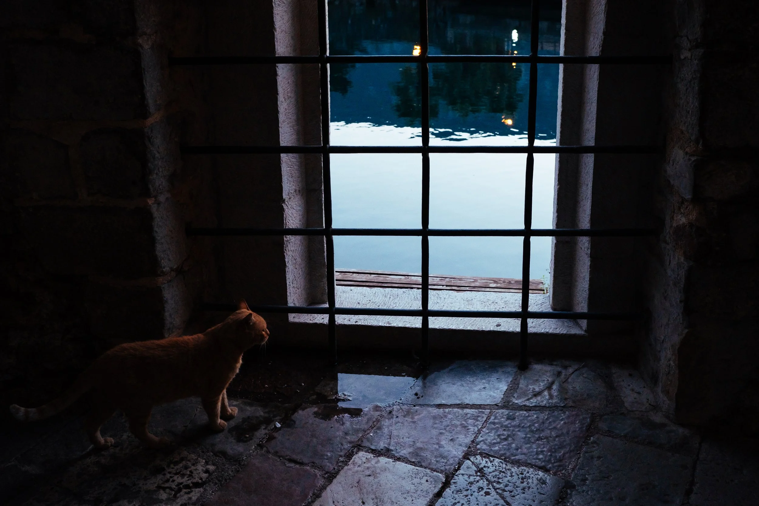 191135_4689_10052023_Kotor_Big Tripper Trip_Tess Janssen.jpg