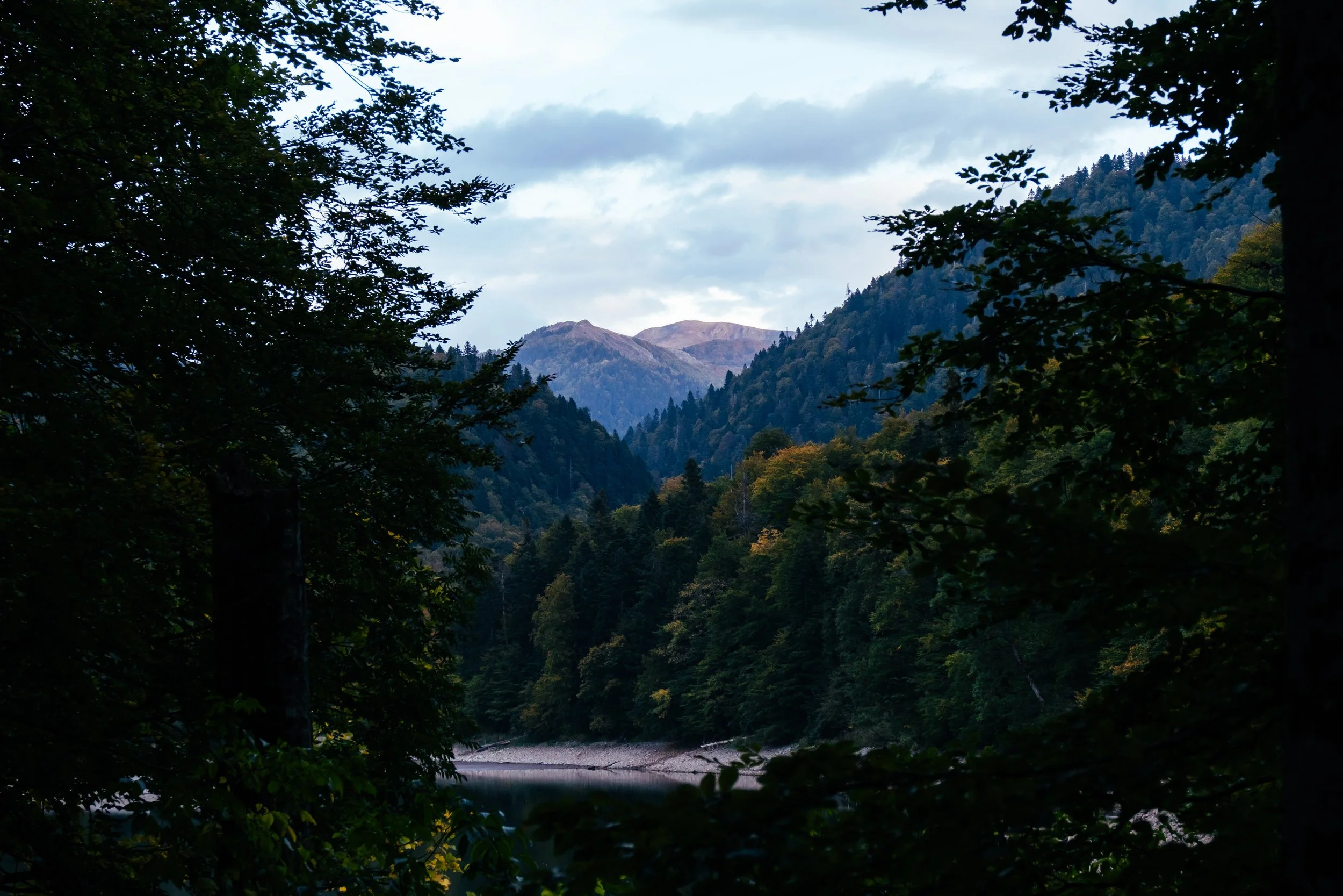 161334_4382_10102023_Biogradska Lake_Big Tripper Trip_Tess Janssen.jpg