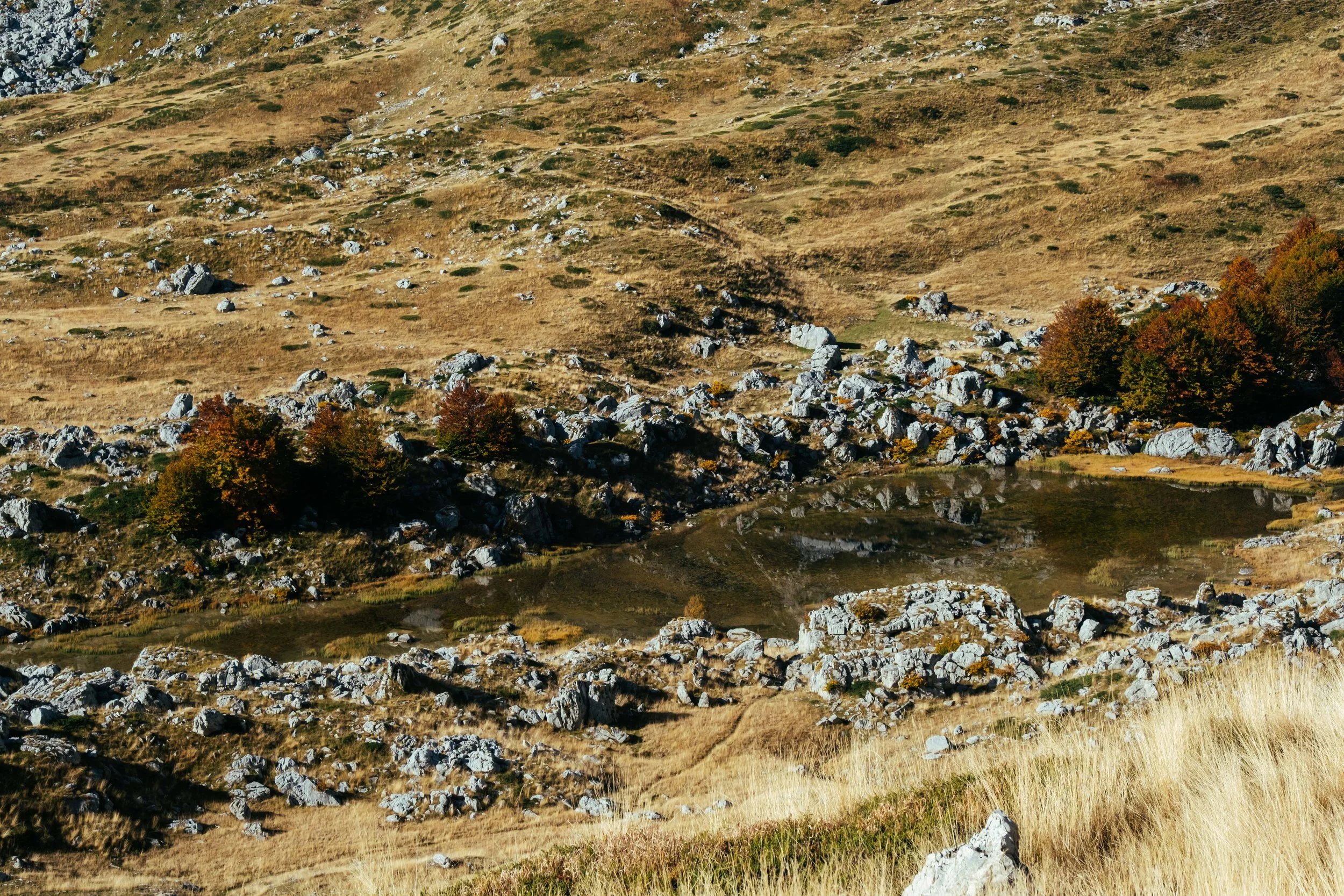 083245_0062_10132023_Durmitor_Big Tripper Trip_Tess Janssen.jpg