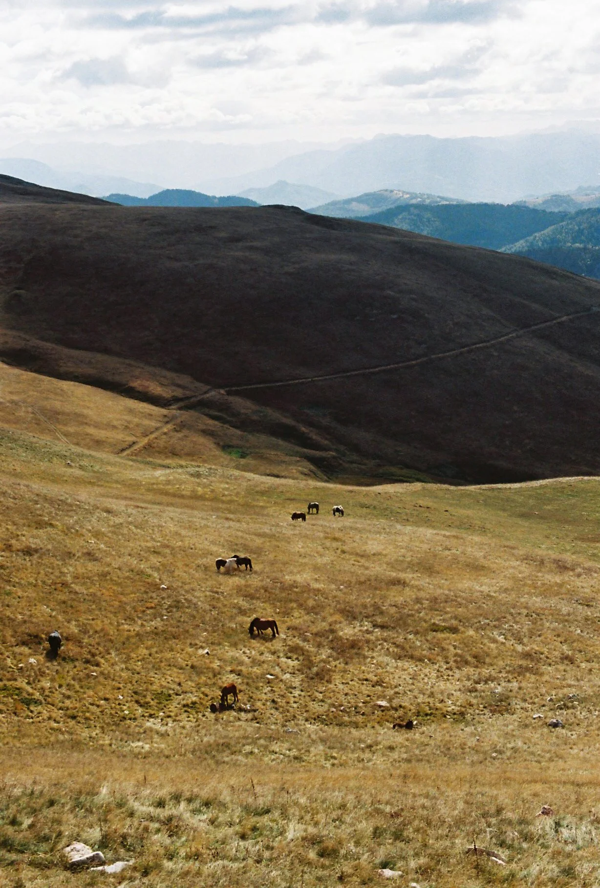 150543_13_102023_Durmitor_Film_Tess Janssen.jpg
