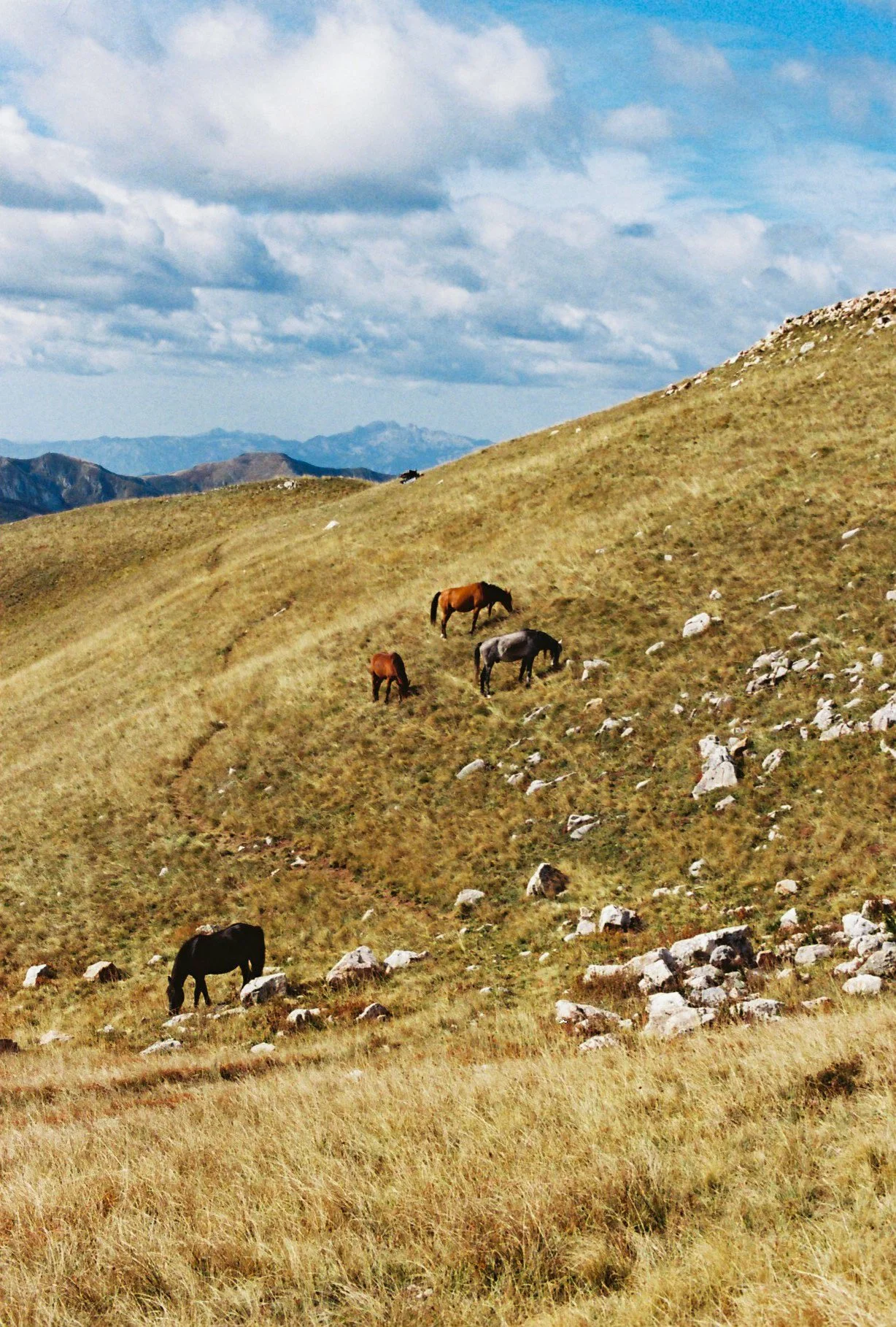 150543_15_102023_Durmitor_Film_Tess Janssen.jpg