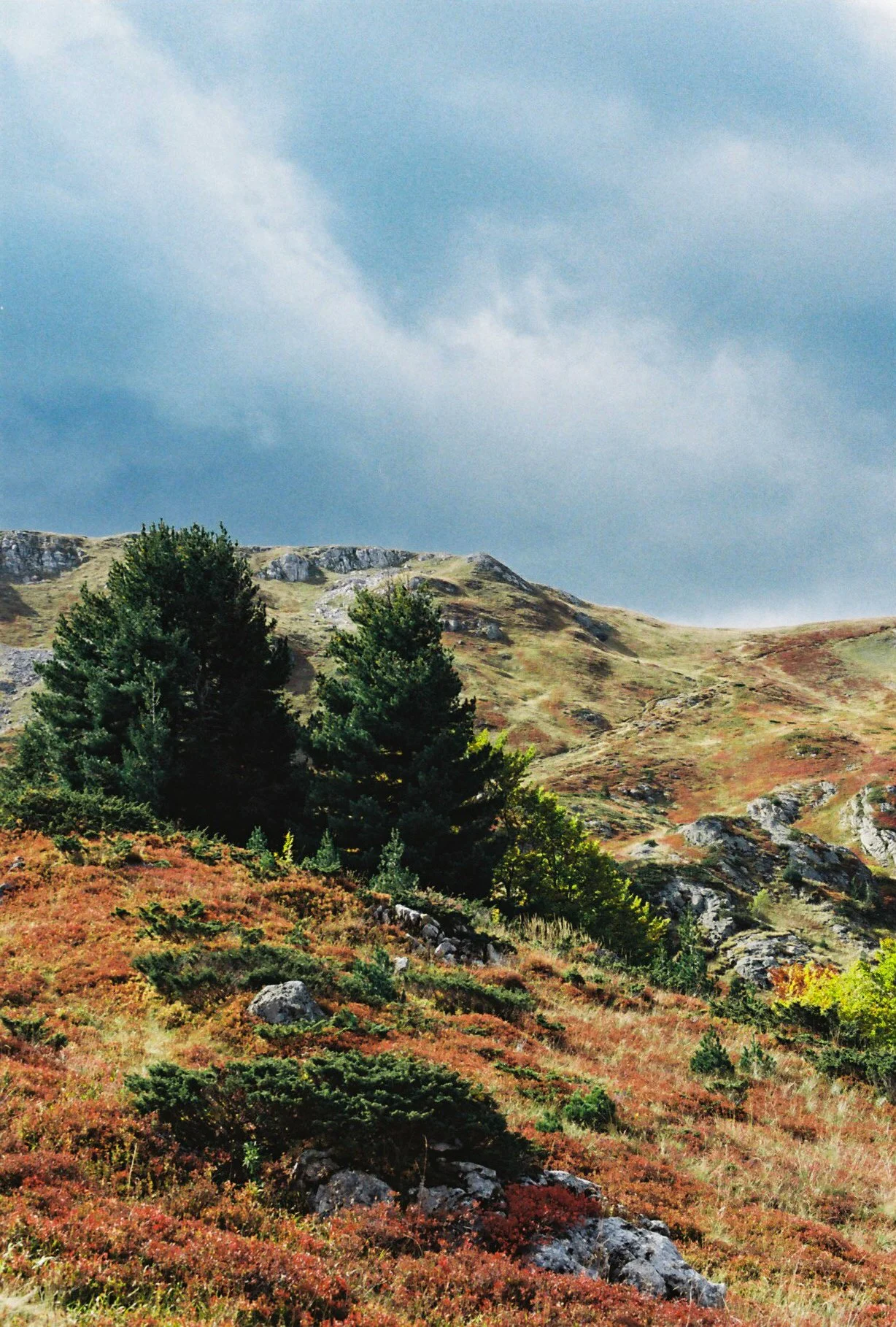 150556_19_102023_Durmitor_Film_Tess Janssen.jpg