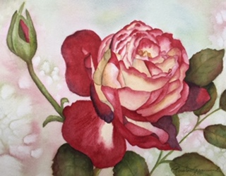 'DOUBLE DELIGHT'