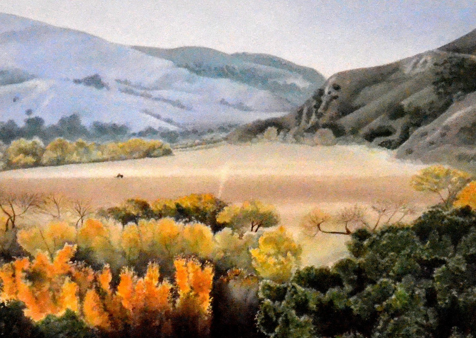 Linda Gooch “On Santa Rosa Road”
