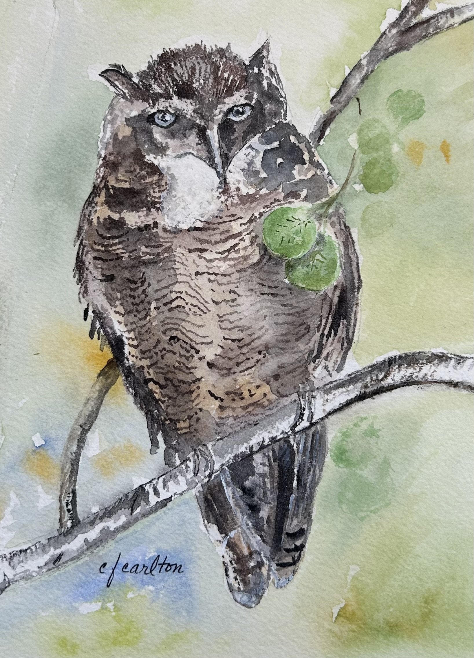 Introduction to Watercolor by Claudette Carlton 