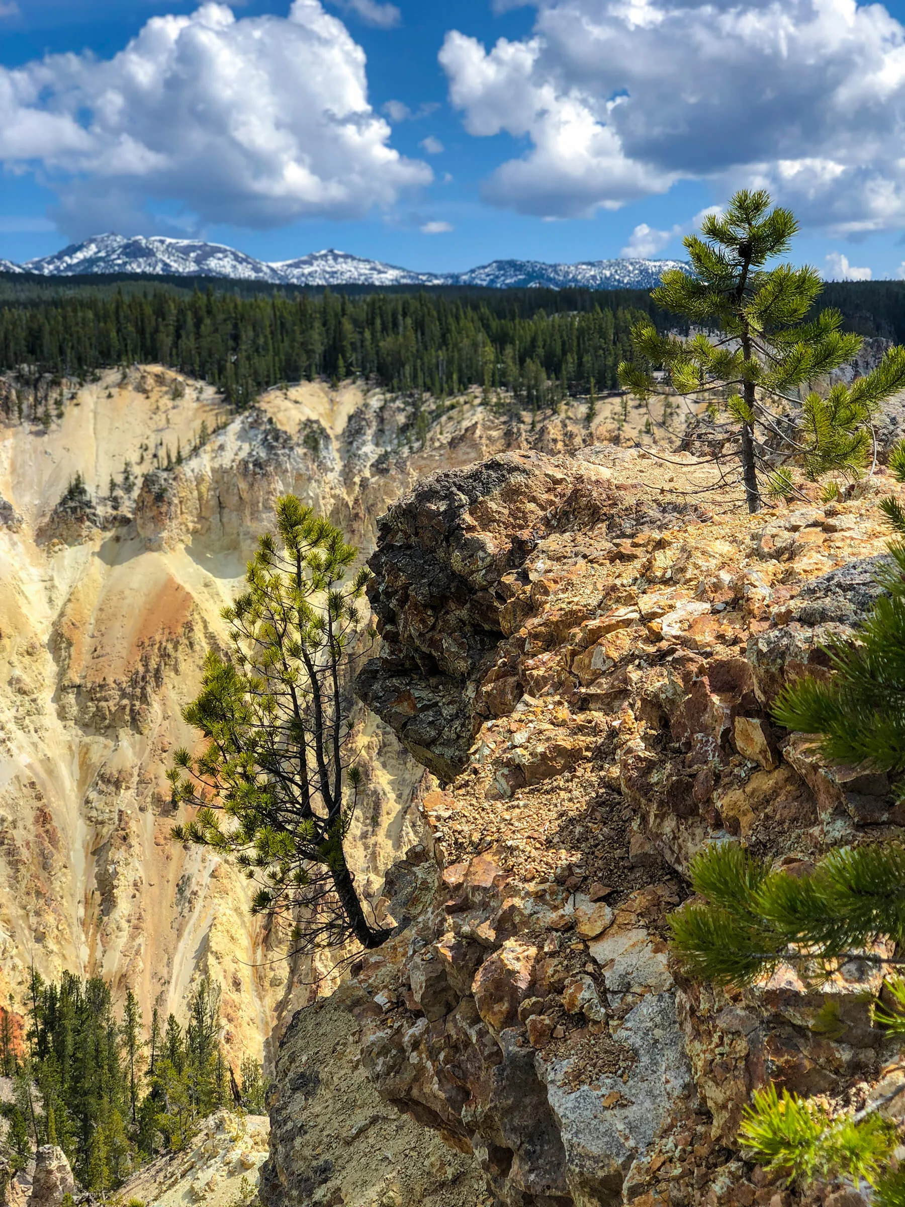 Grand Canyon of Yellowstone