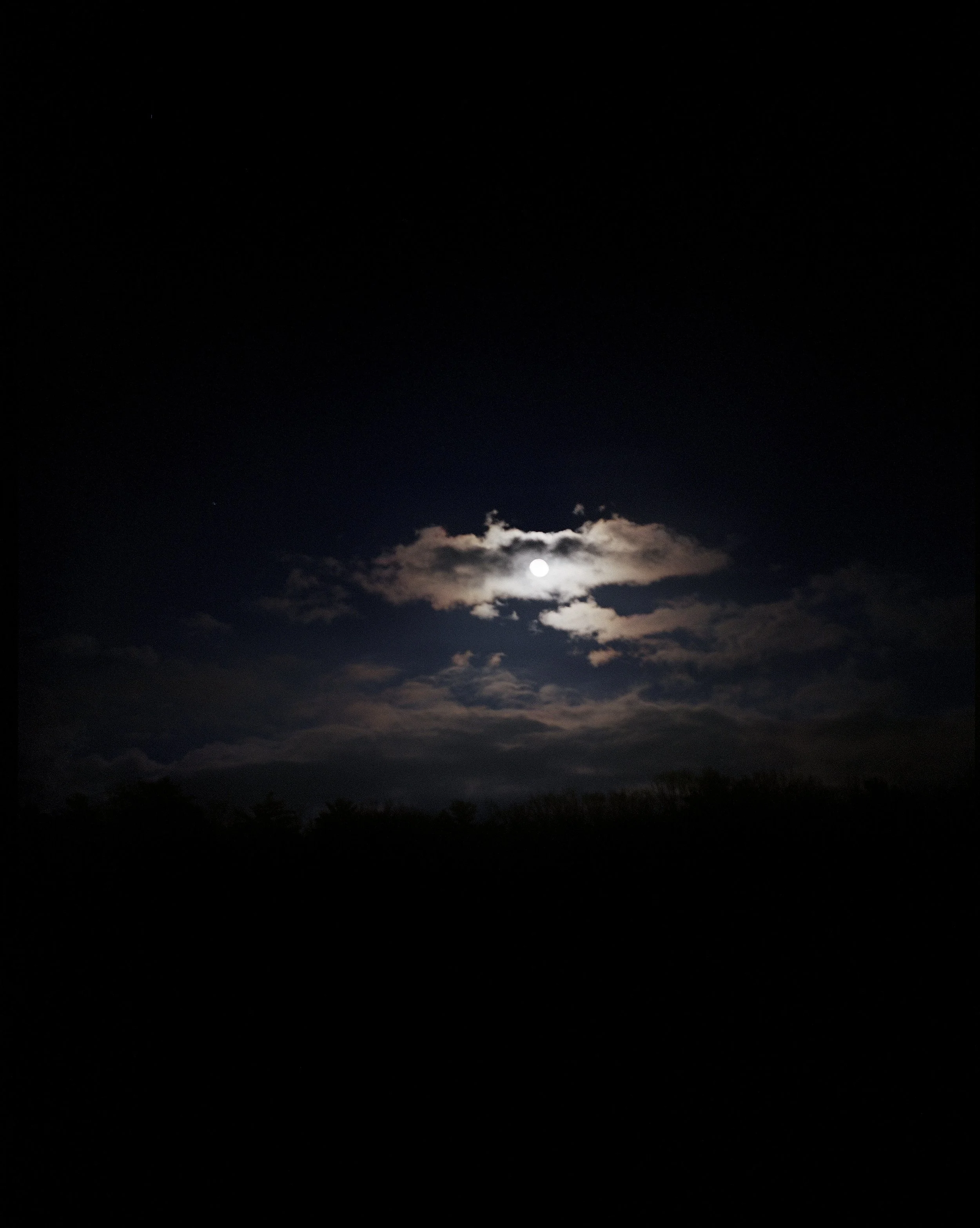 IMG_1755.jpeg