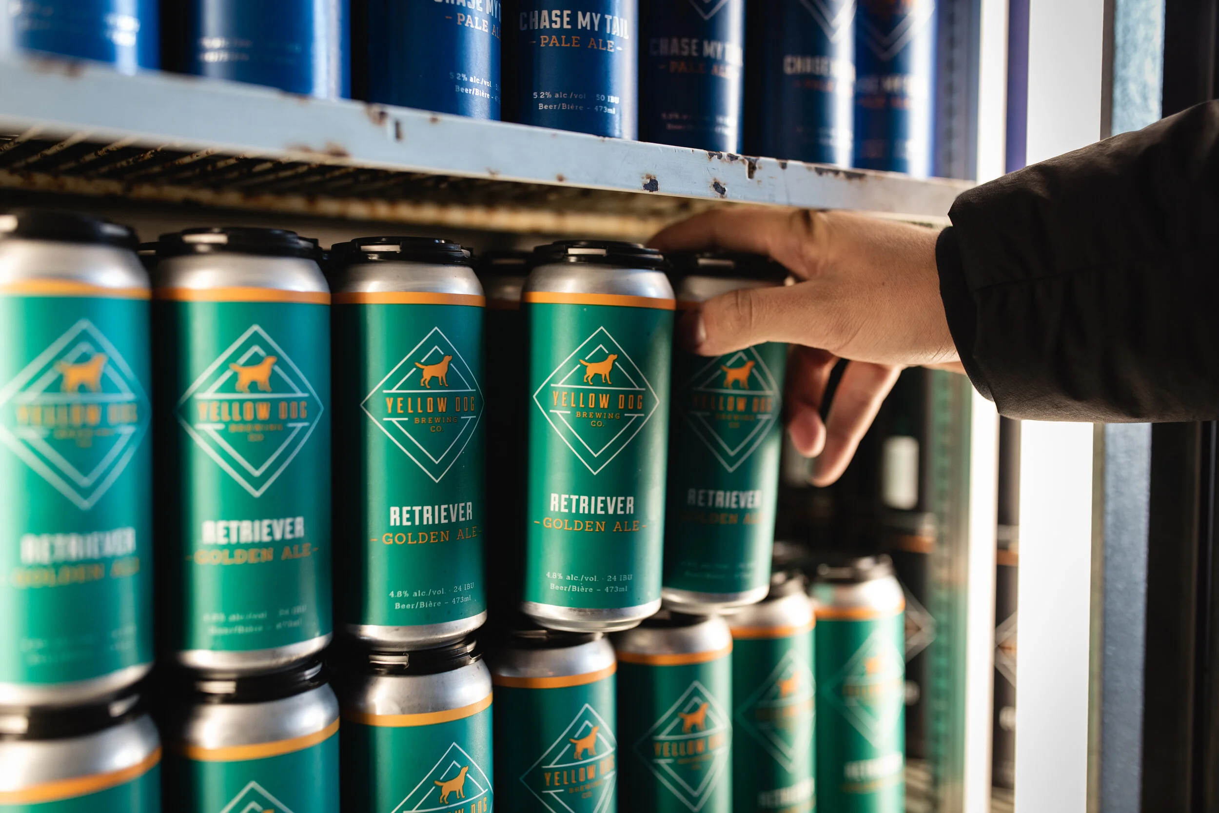 Social media content for Yellow Dog Brewing Co.