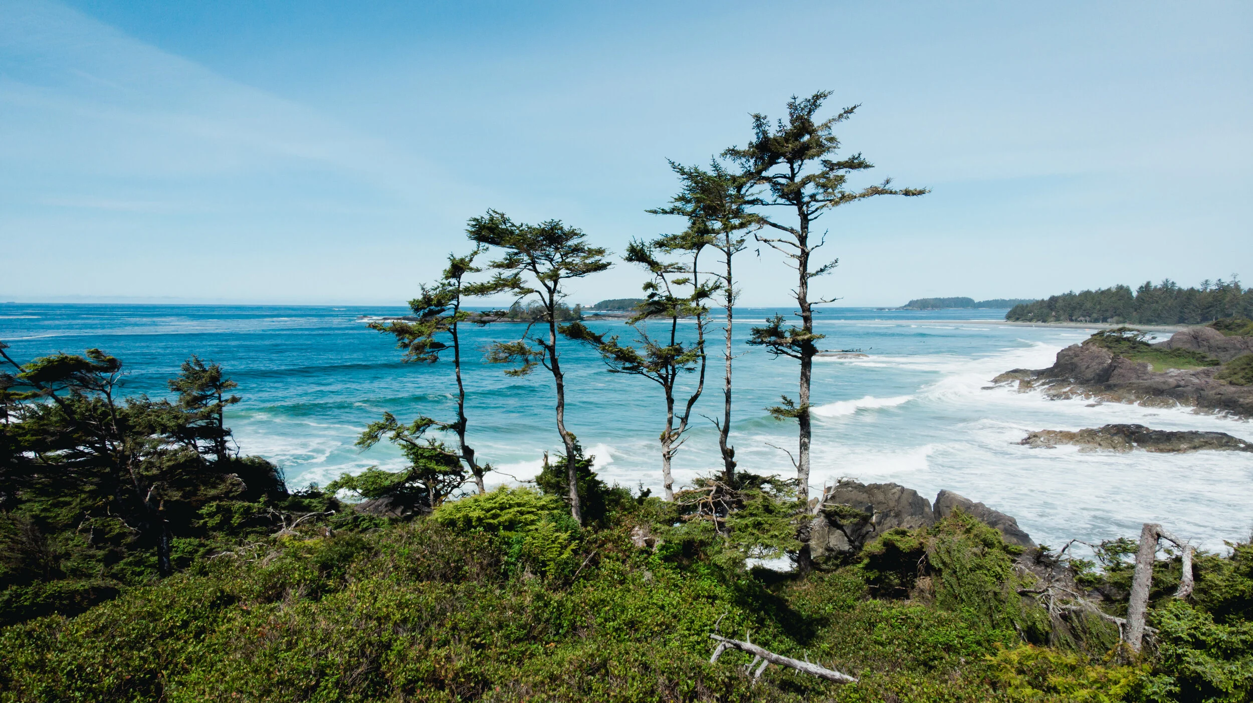 Tofino, BC.