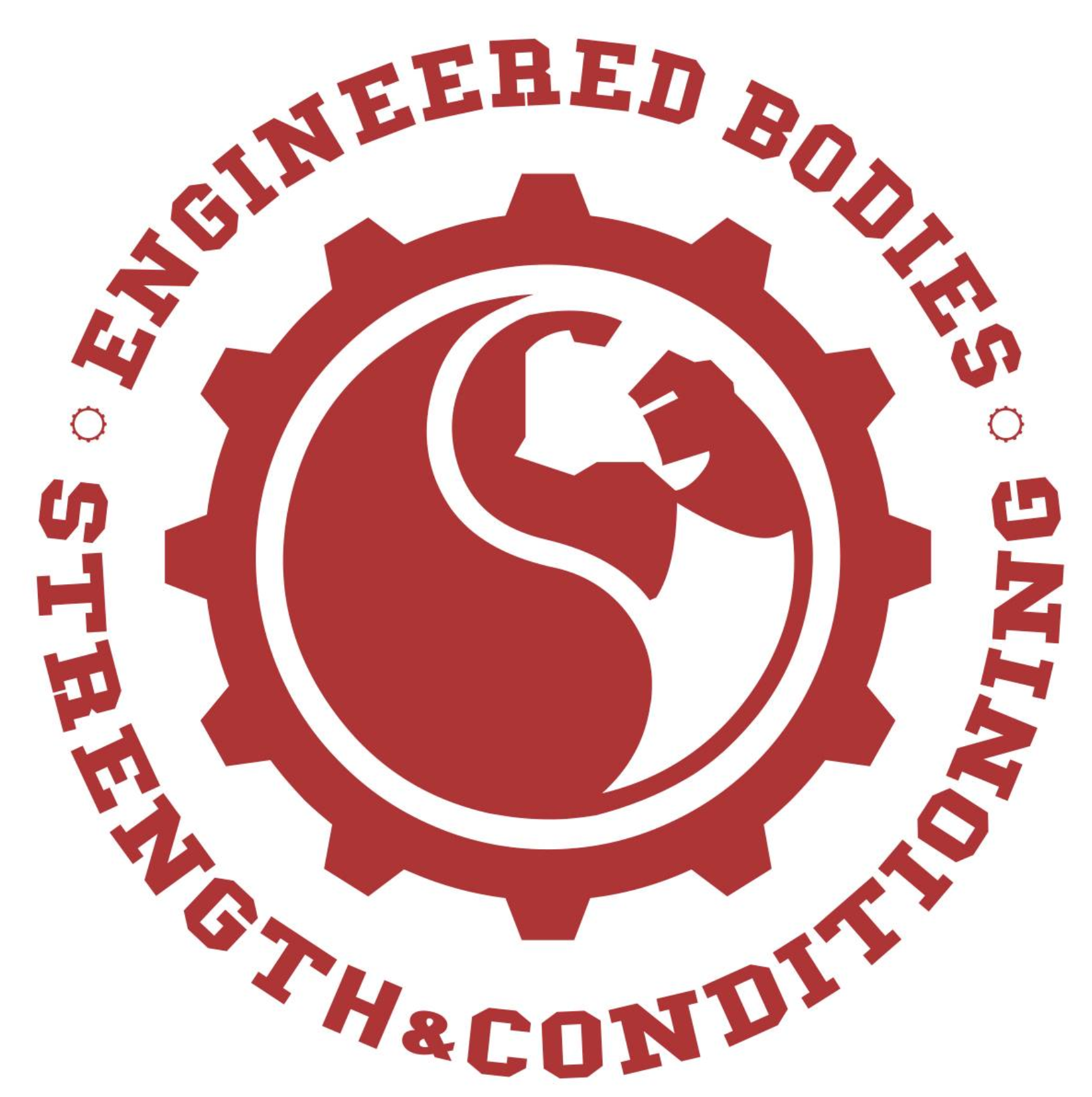 Engineered Bodies.png