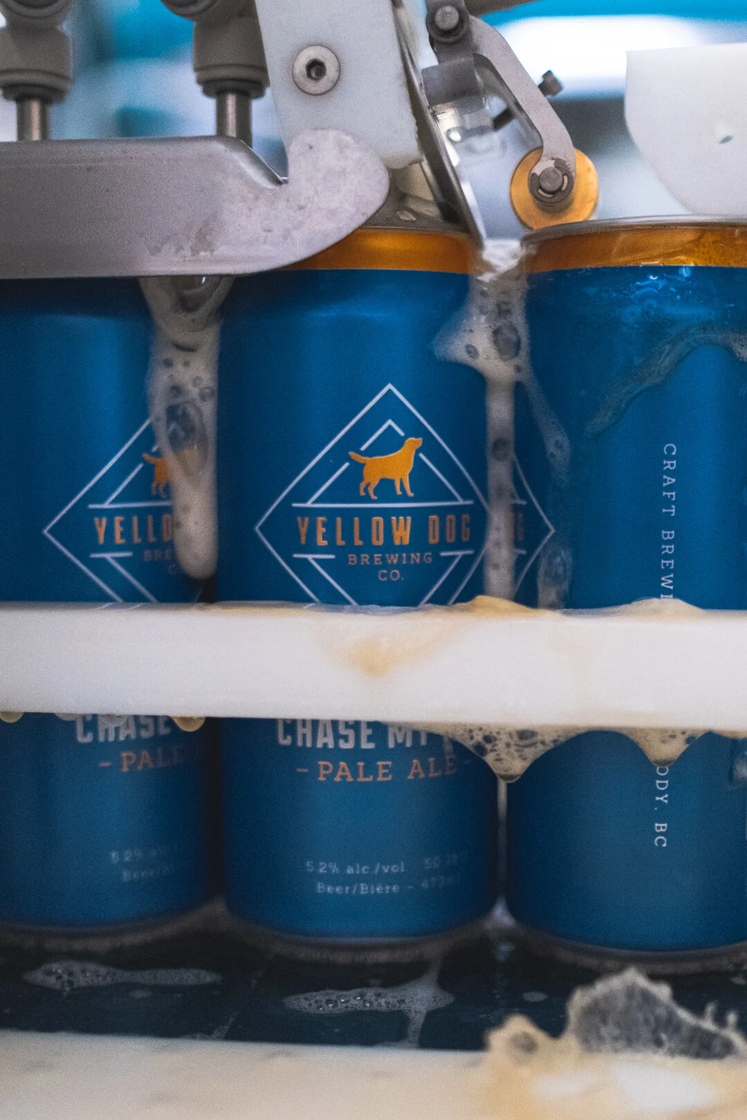 Social media content for Yellow Dog Brewing Co.
