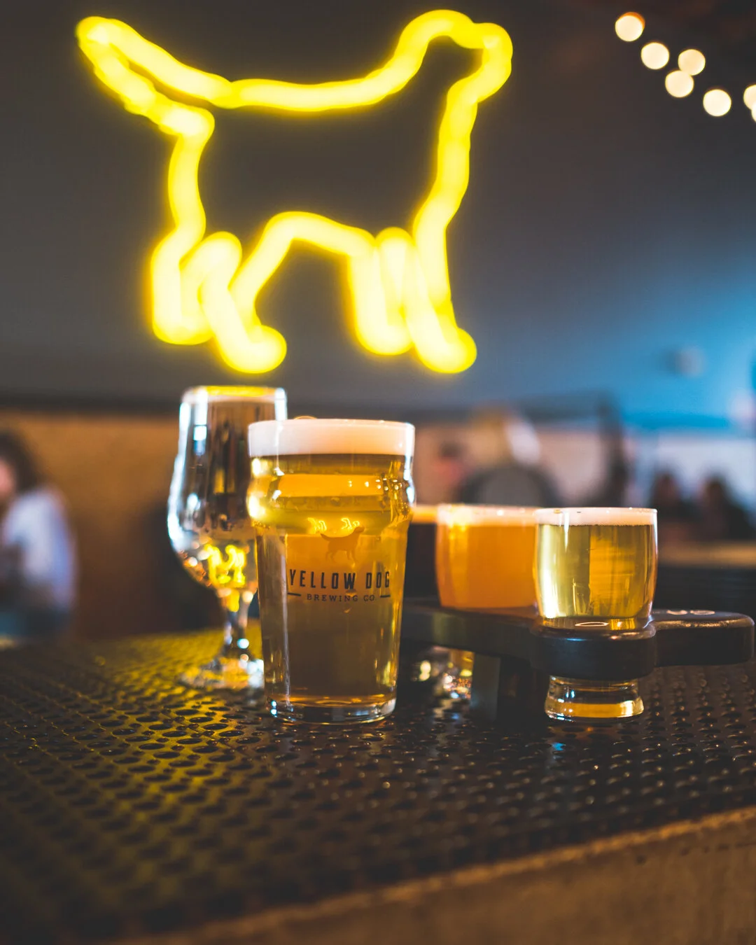 Yellow Dog Brewing / Tasting room. Social media content for Yellow Dog Brewing Co.