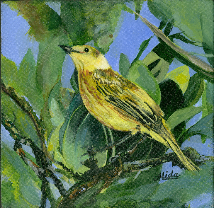 YellowBird-highRes_LOWRES_sellshot.png