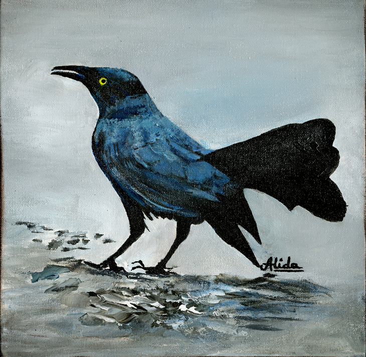 BLackBird-highRes_LOWRES_sellshot.png