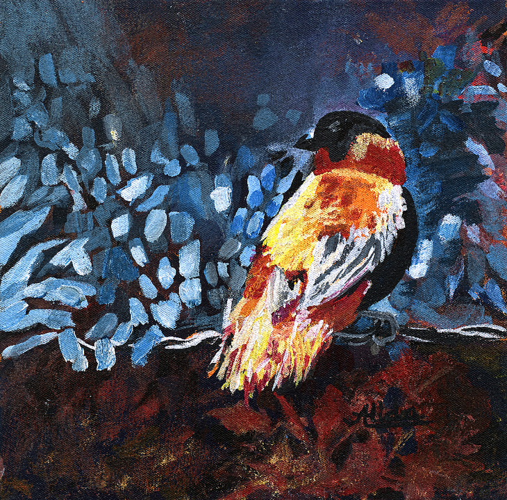 CalicoBird-highRes_LOWRES_sellshot.png