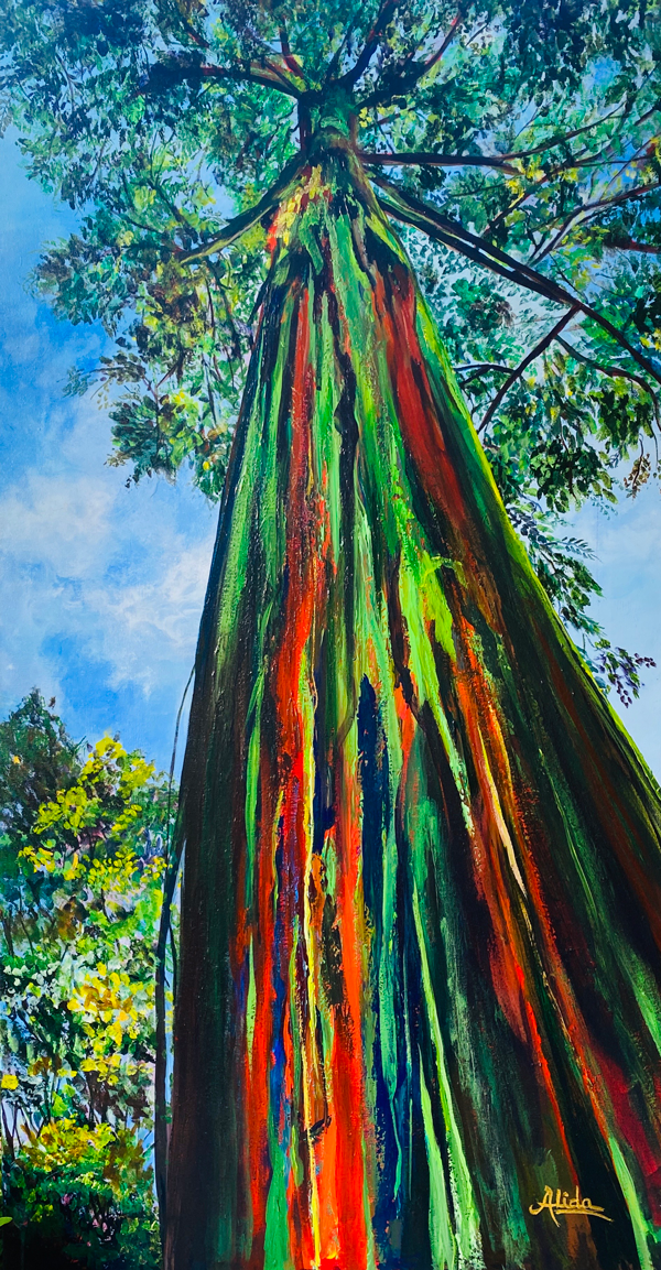 RAINBOW EUCALYPTUS