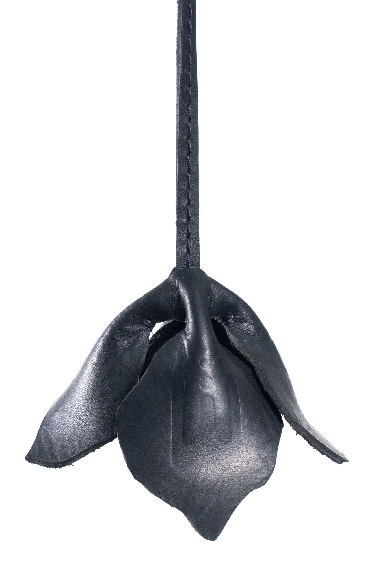 Product Images-210.jpg