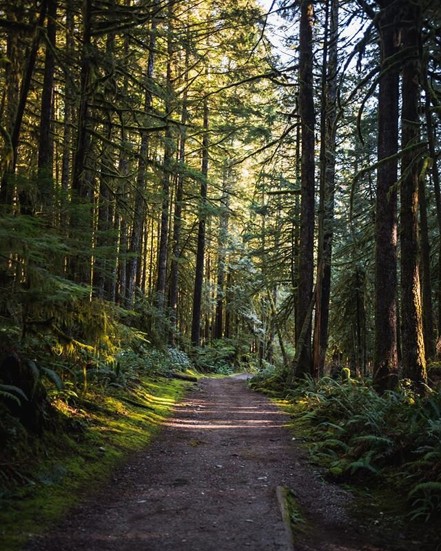 I took the one less travelled by.