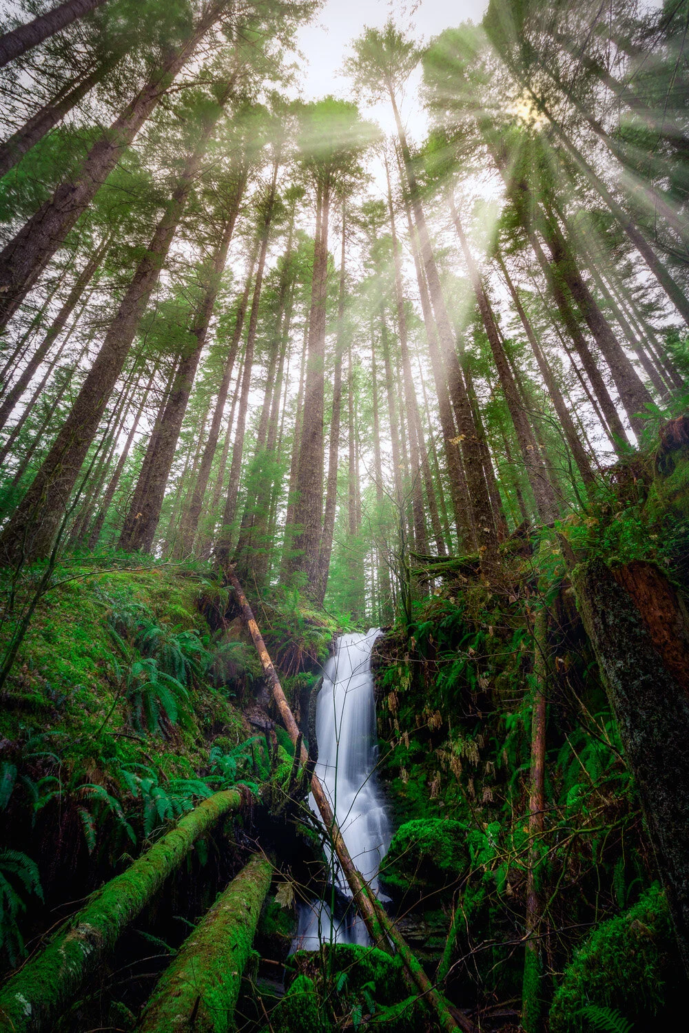 random waterfall LE sunrays.jpg