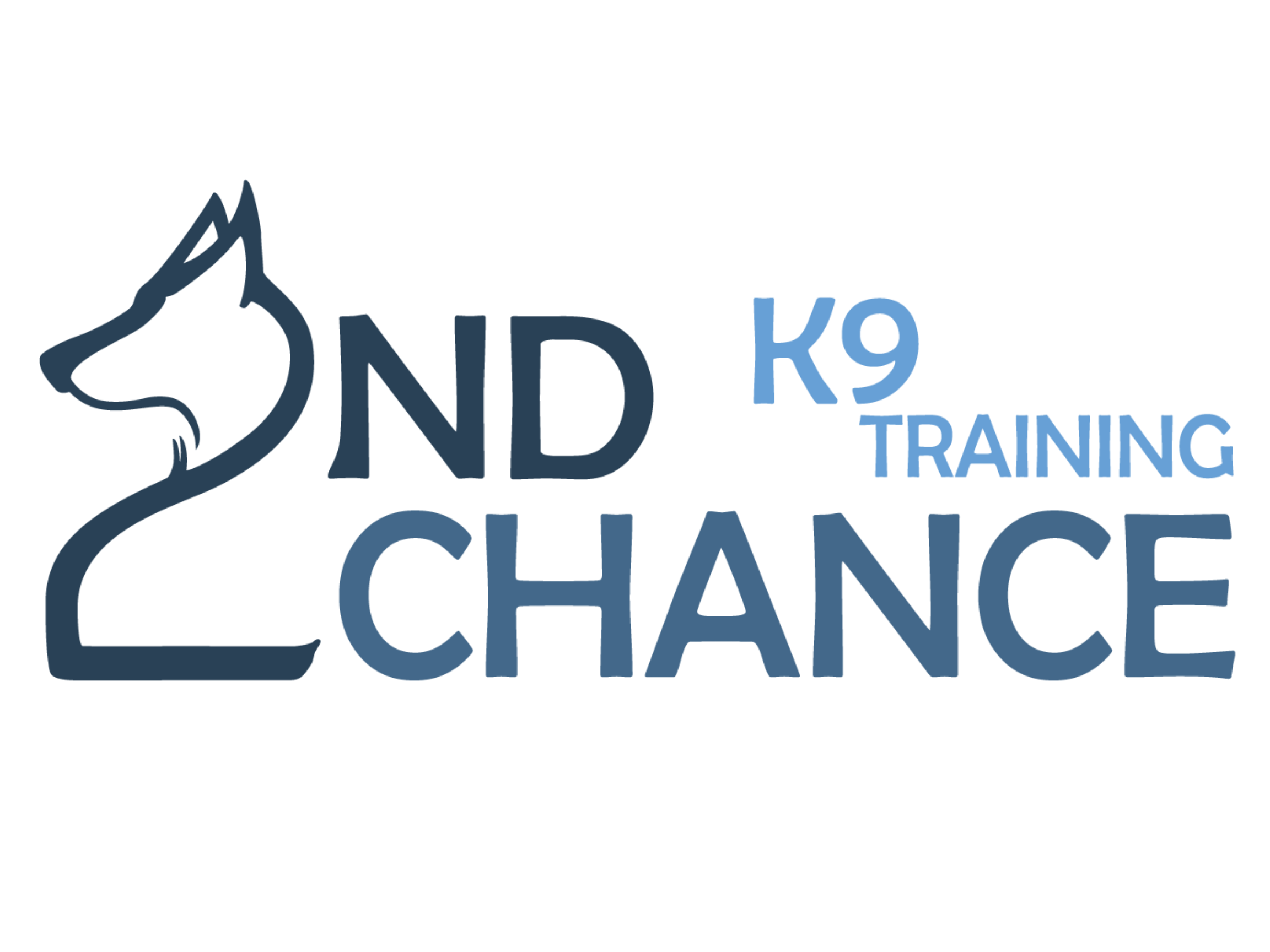 2ND CHANCE K9.png