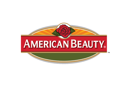  American Beauty’s current logo 
