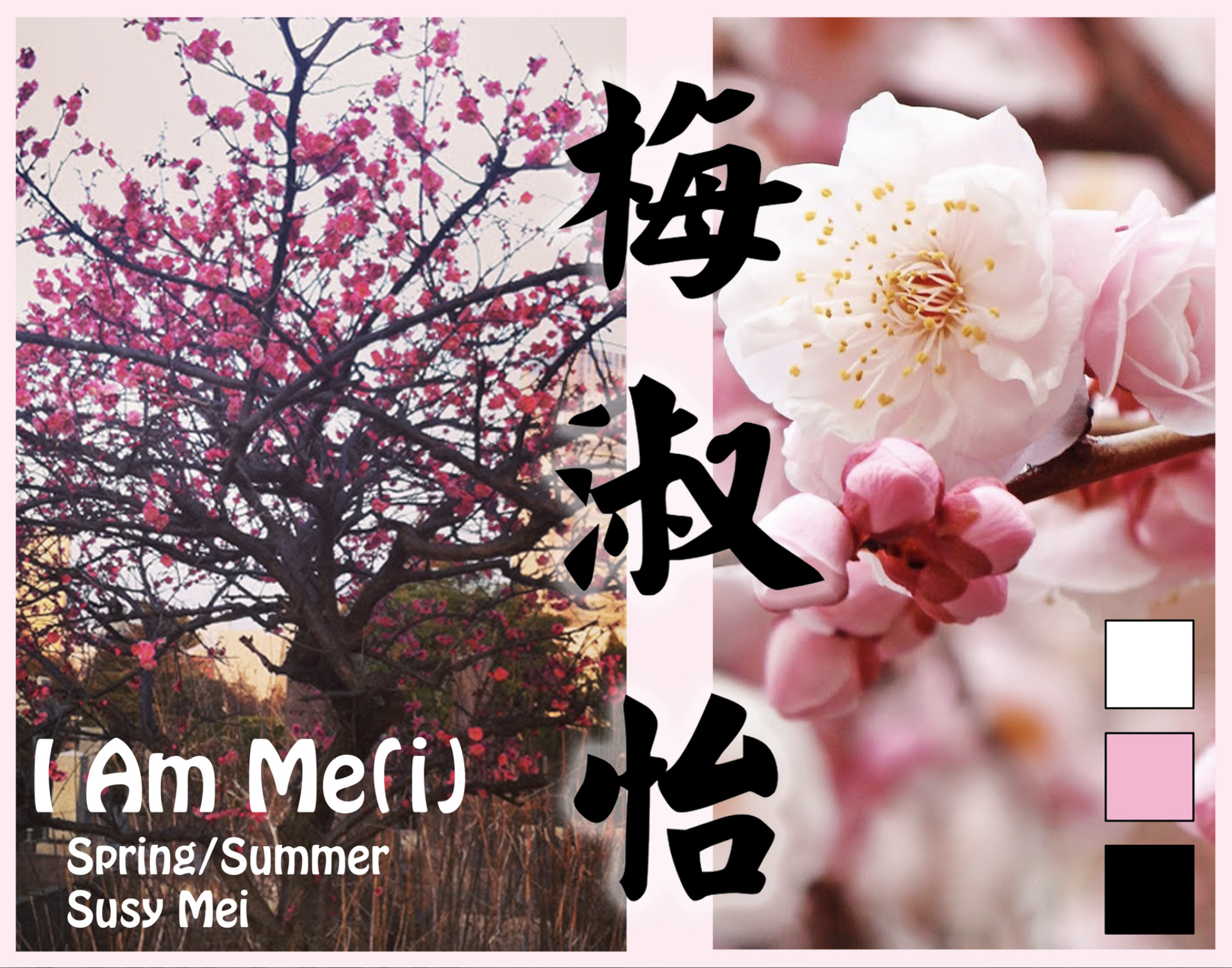 Screen Shot 2018-01-25 at 12.07.18 AM.png