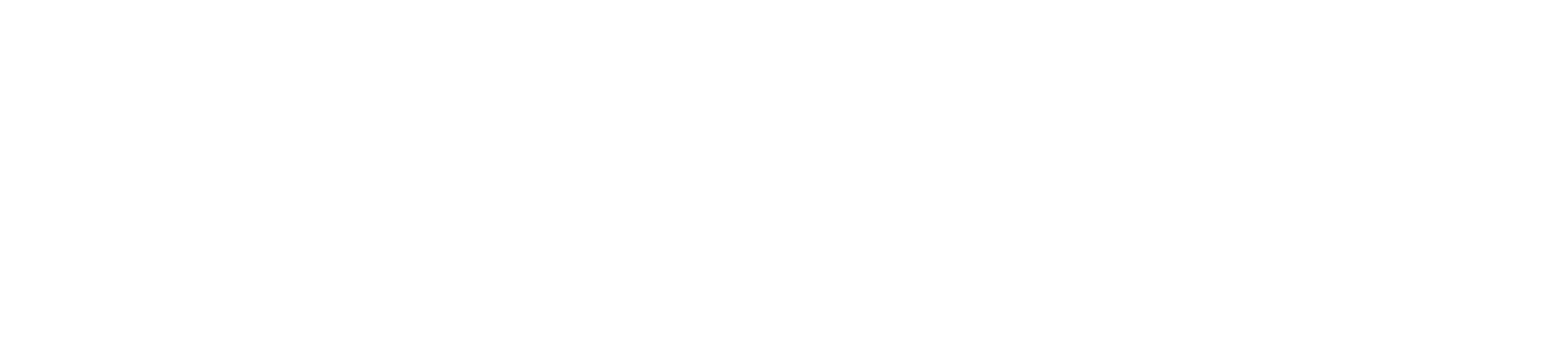 Peter Marco Logo2 - White.png