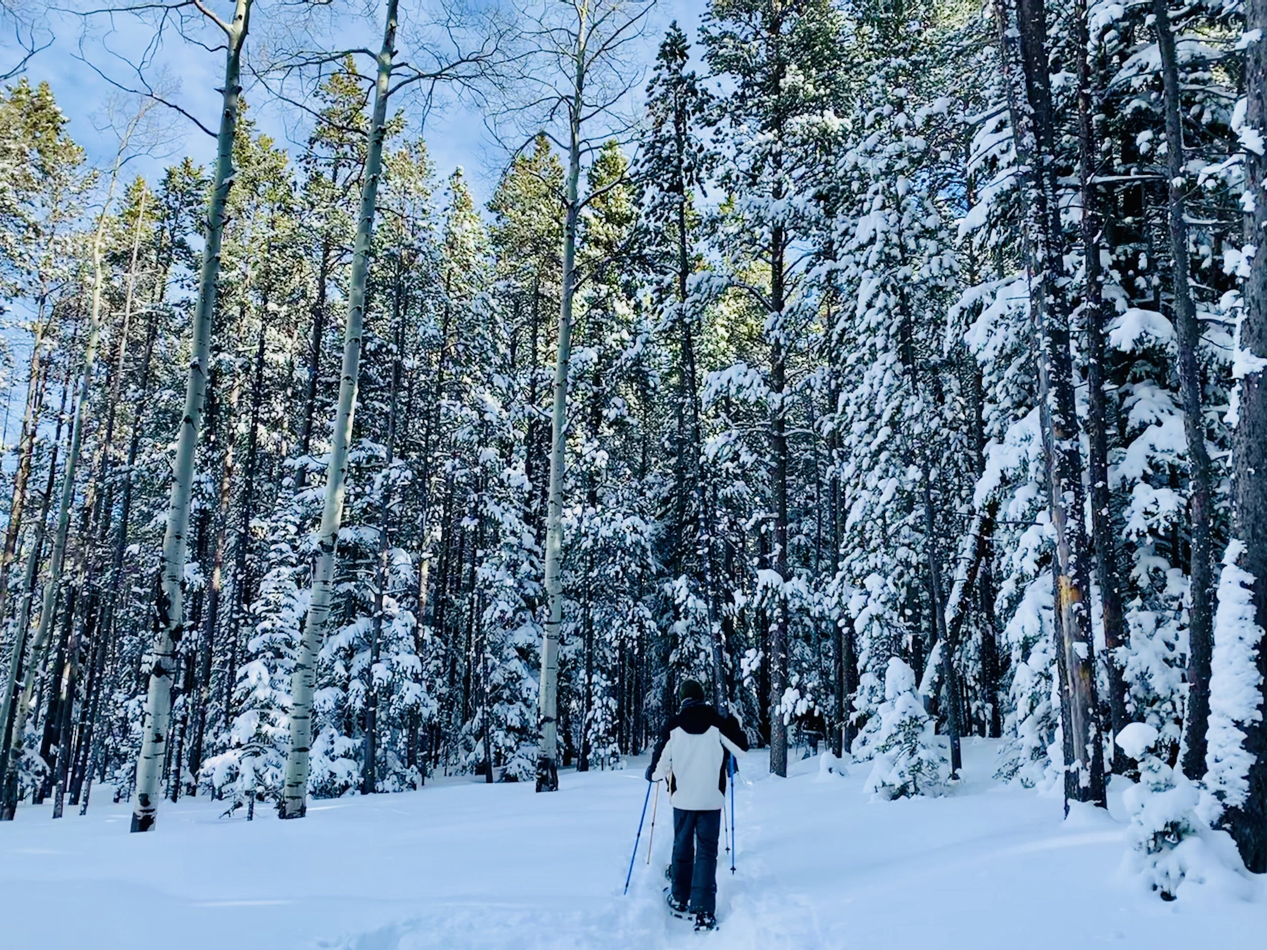 Snow-Shoe Event