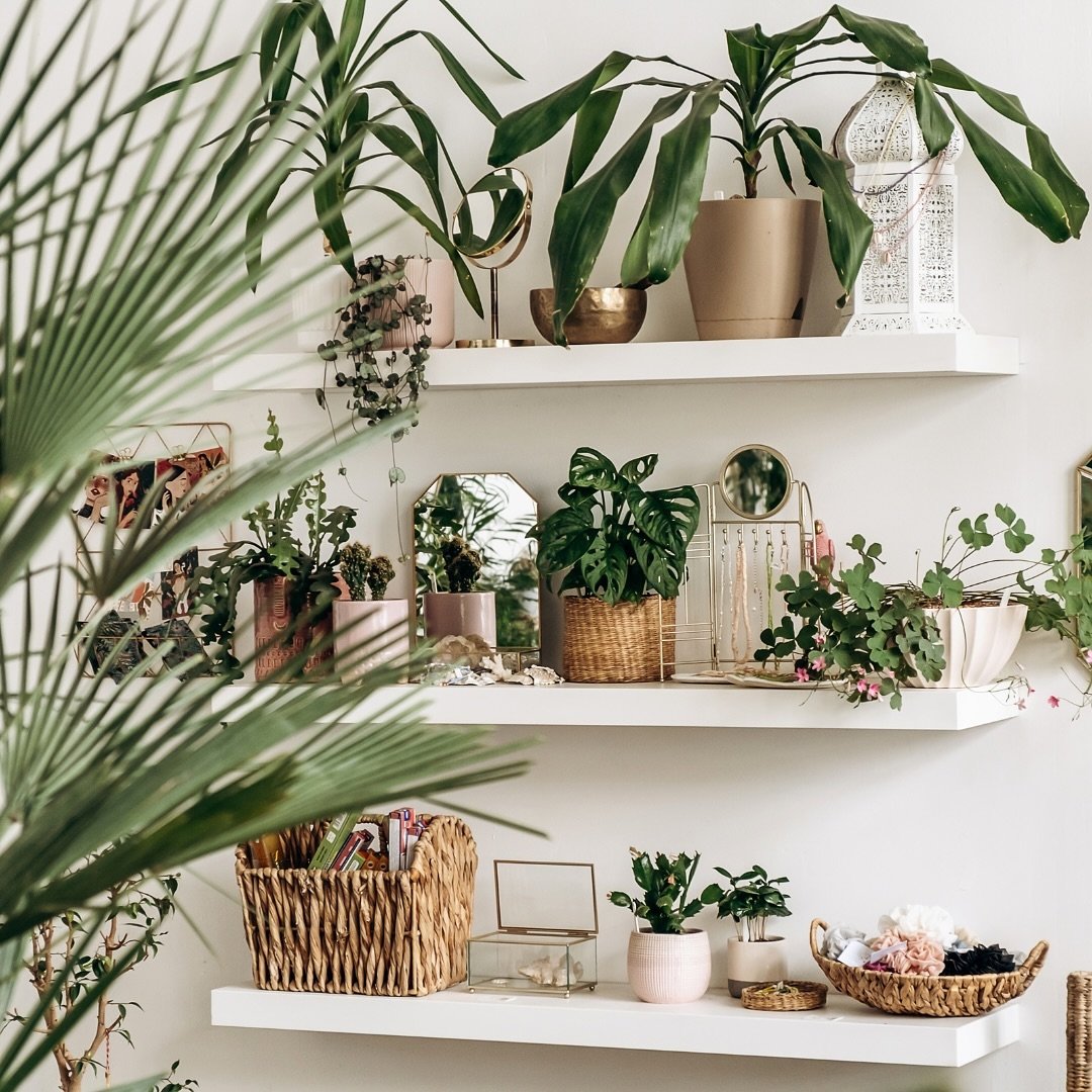 🌿 Those who know me, know my obsession with house plants 💚😍

If you&rsquo;re looking to spruce up your home or office, here&rsquo;s why I think house plants are a must-have:

1. 🍃 Improved Air Quality: House plants act as natural air purifiers, r