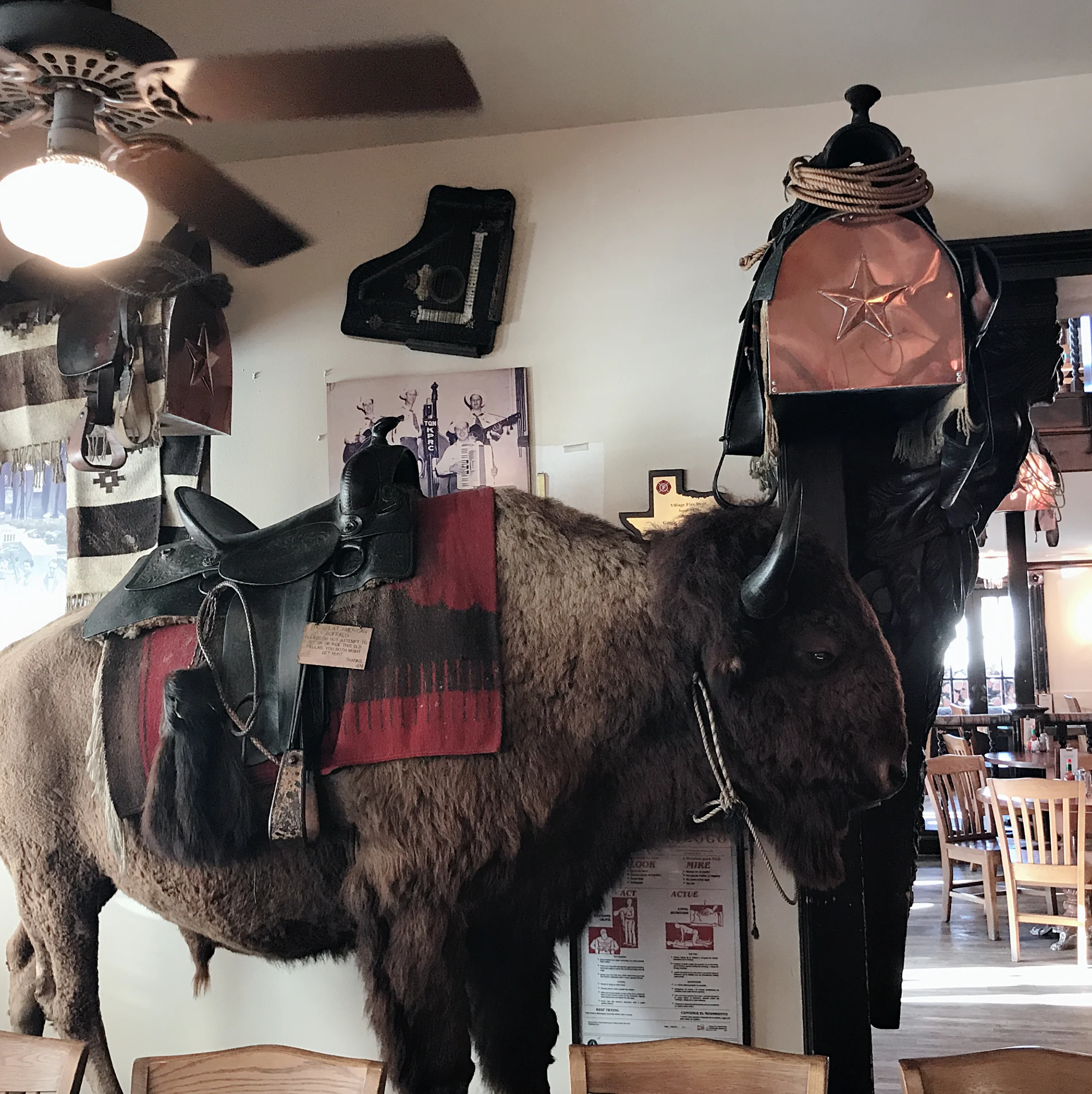 Enjoy Houston, TX like the locals!