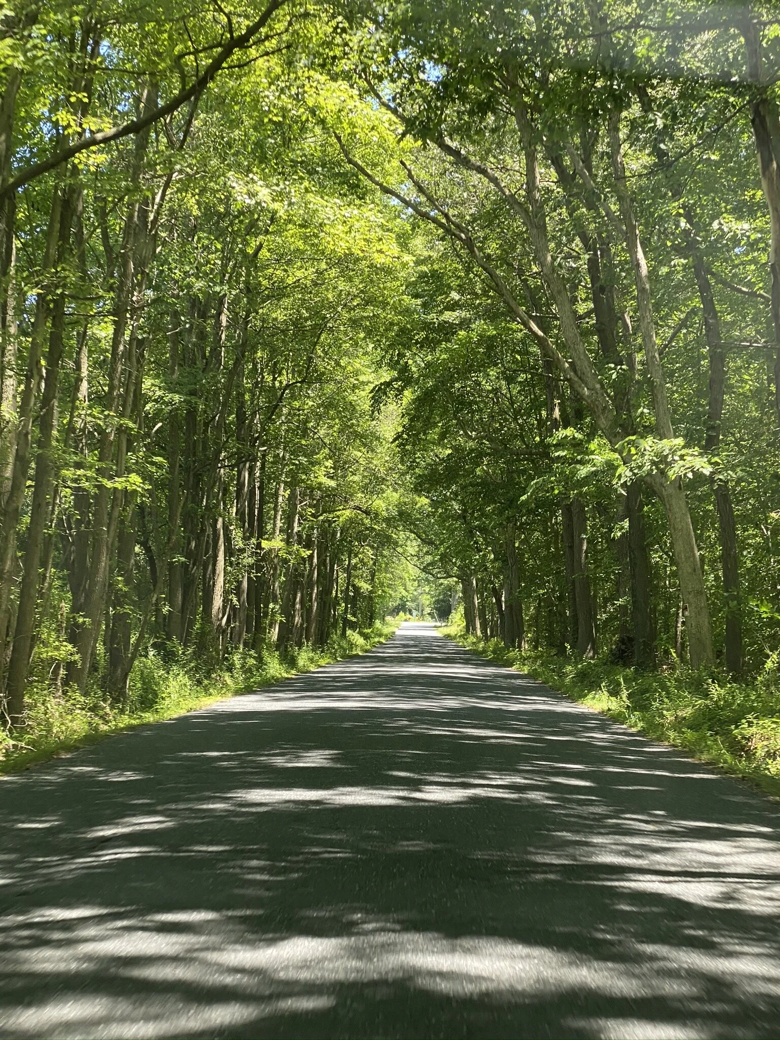 Weekend in the Eastern Shore, Maryland