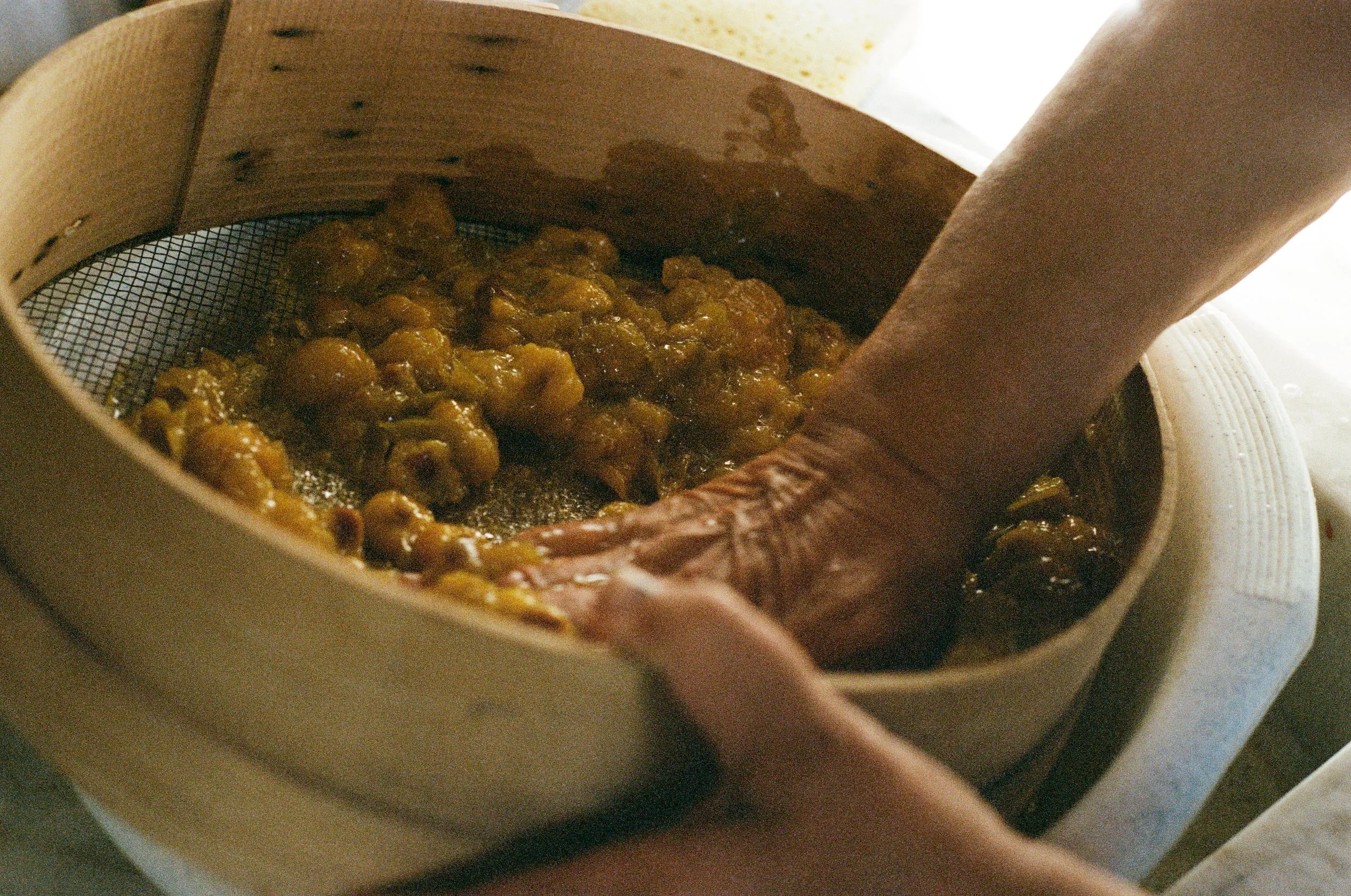 -FILM_22-070 copy.JPG