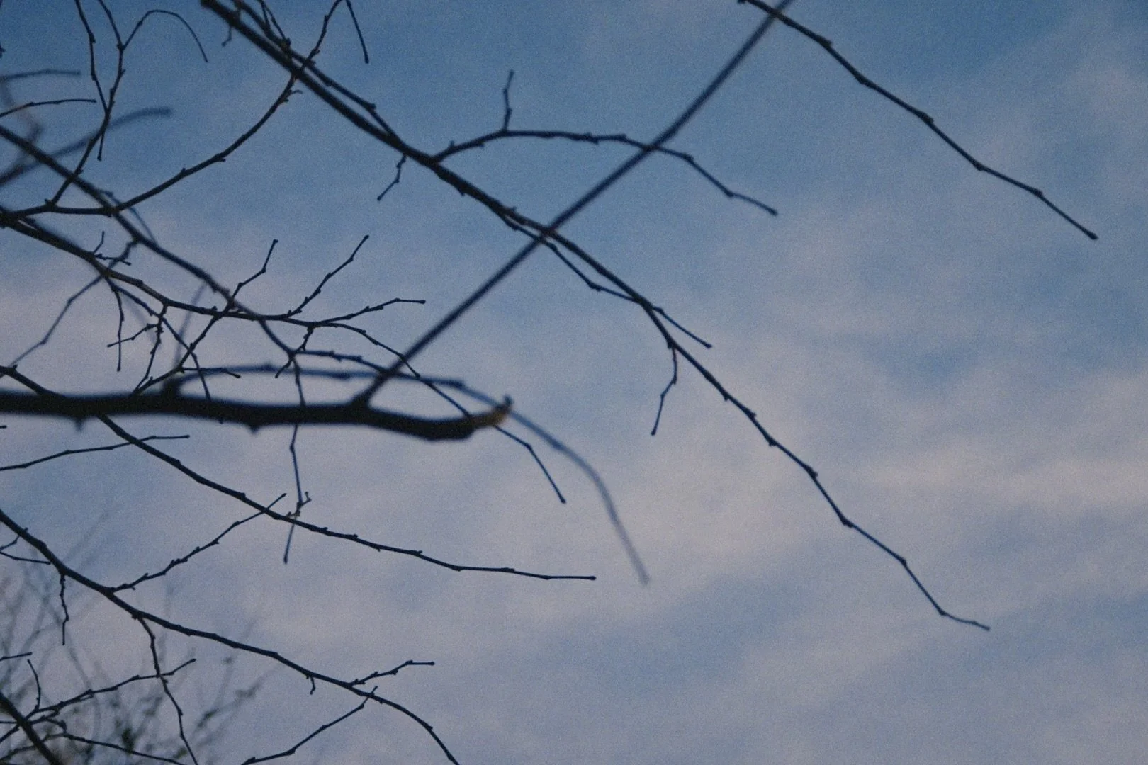 Still 2025-11-21 130455_1.1.70.jpeg