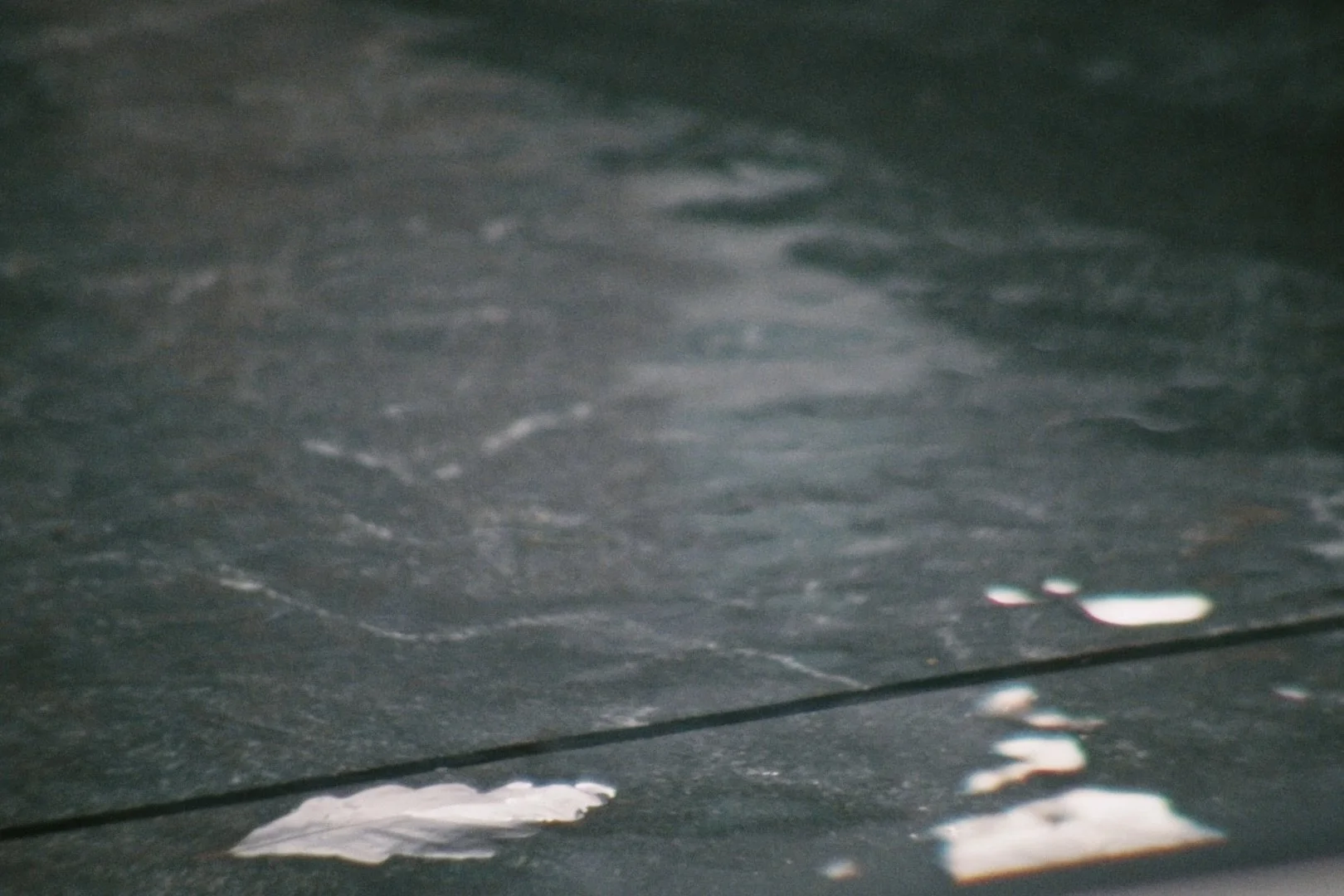 Still 2025-11-21 130455_1.1.6.jpeg