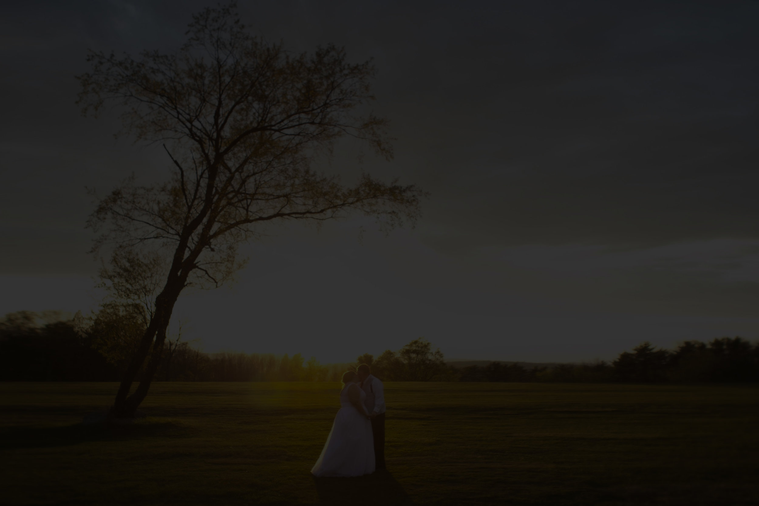 wedding5 copy.jpg