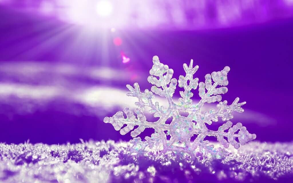 Winter Snowflake Special