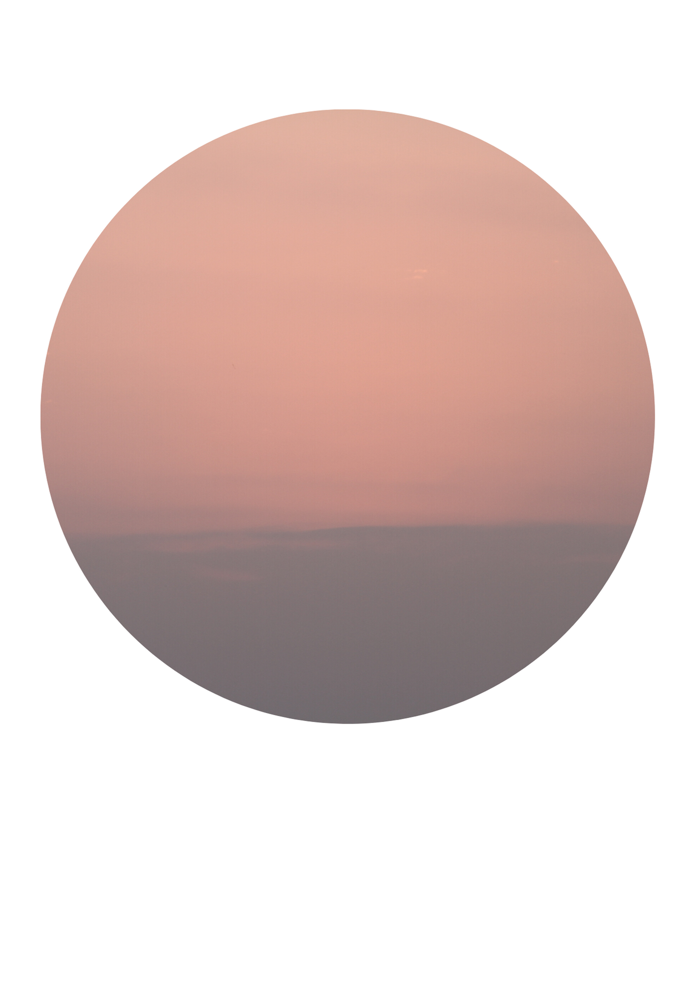 Sean GarciaNullam sit amet nisi condimentum erat iaculis auctor. Fusce at massa nec sapien auctor gravida in in tellus. Vivamus a ante congue, porta nunc nec, hendrerit turpis. Suspendisse nec congue purus.