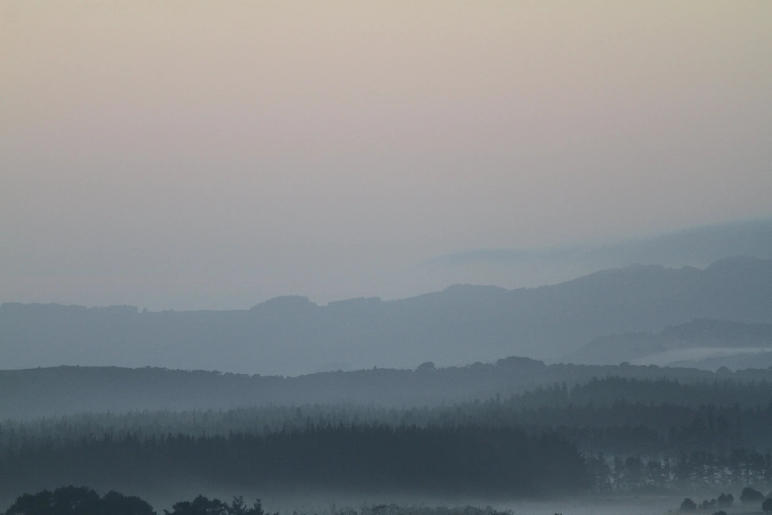 Emily EdwardsMaecenas non leo laoreet, condimentum lorem nec, vulputate massa. Suspendisse nec congue purus. In sit amet felis malesuada, feugiat purus eget, varius mi. Mauris egestas at nibh nec finibus. Donec eget risus diam. Fusce at massa nec sa…