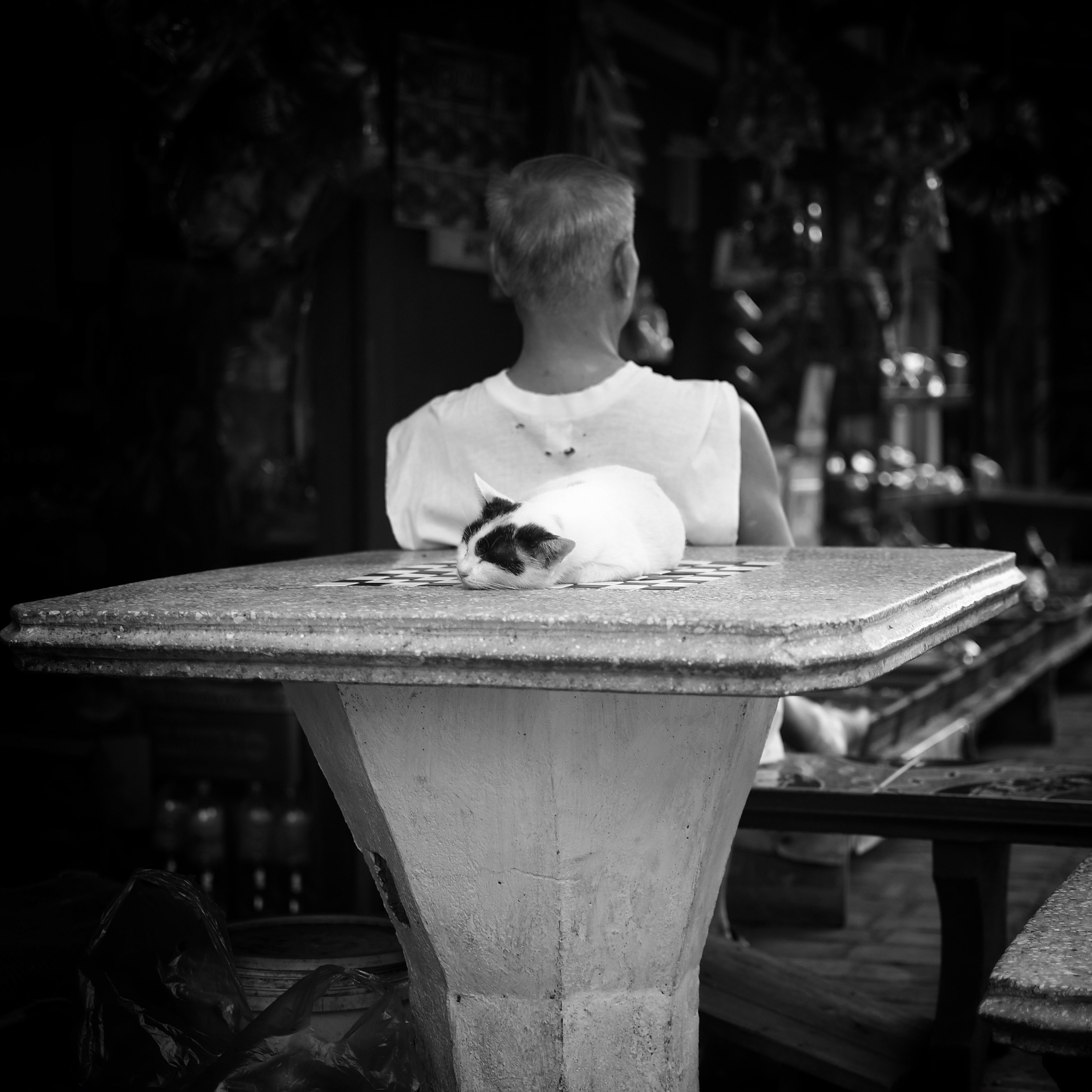 IMG_0196.jpeg
