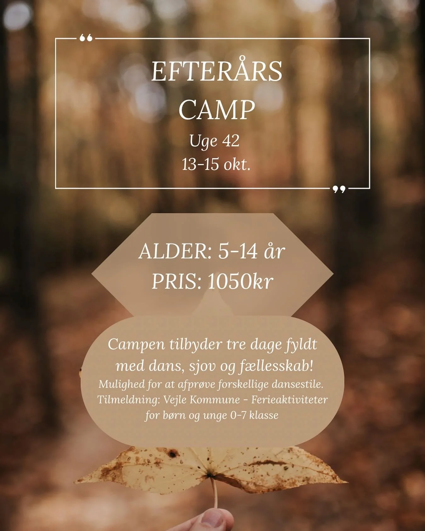 Vi siger farvel til sommeren og byder efter&aring;ret velkommen! 🍂 Tag med p&aring; Efter&aring;rscampen i efter&aring;rsferien &ndash; her kan du udforske og pr&oslash;ve kr&aelig;fter med en masse sp&aelig;ndende dansestile.