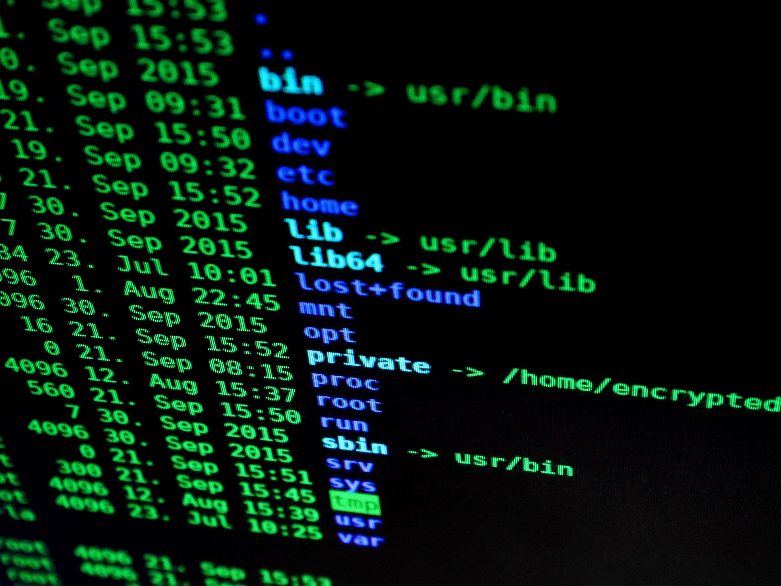 code-codes-coding-207580.jpg