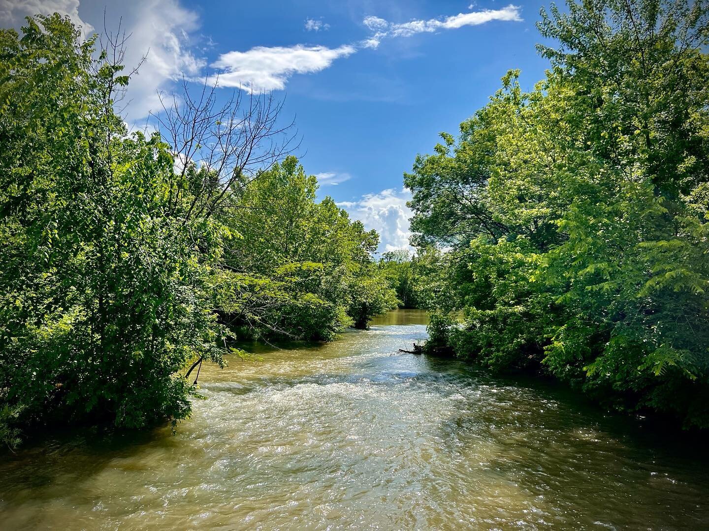🏞️