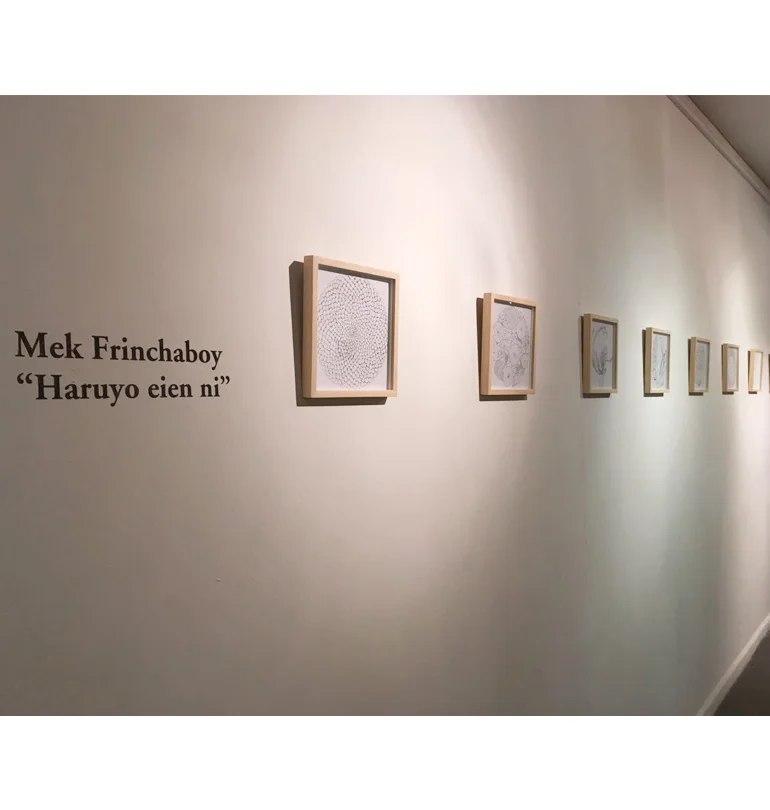 03 mek frinchaboy patterns liberty print illustration fashion textile.jpg