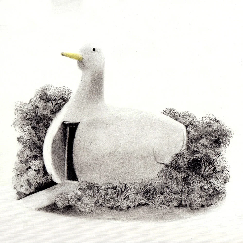 the duck mek frinchaboy.jpg