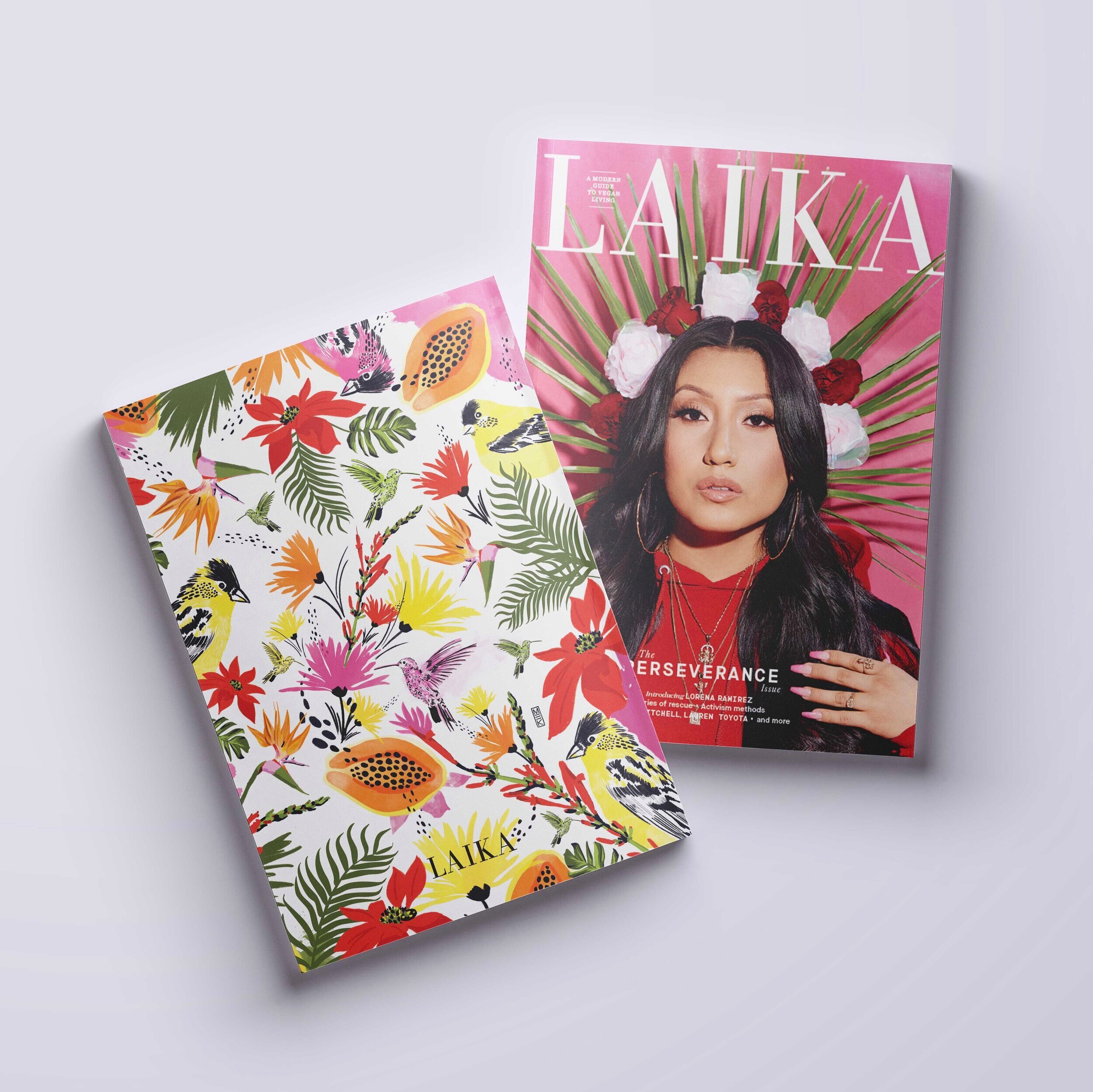 mek-frinchaboy-LAIKA-magazine-1.jpg